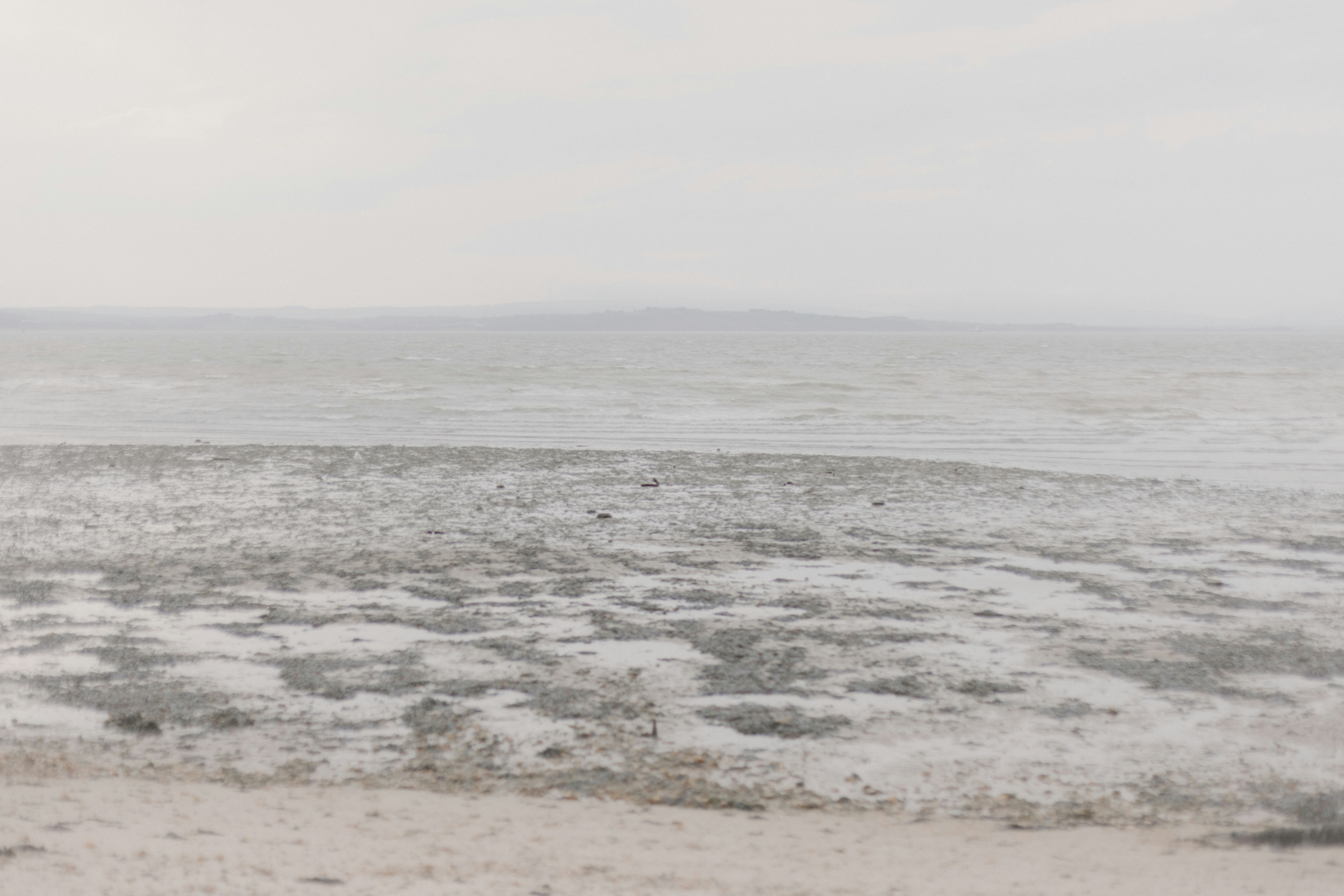 Photo by anniespratt