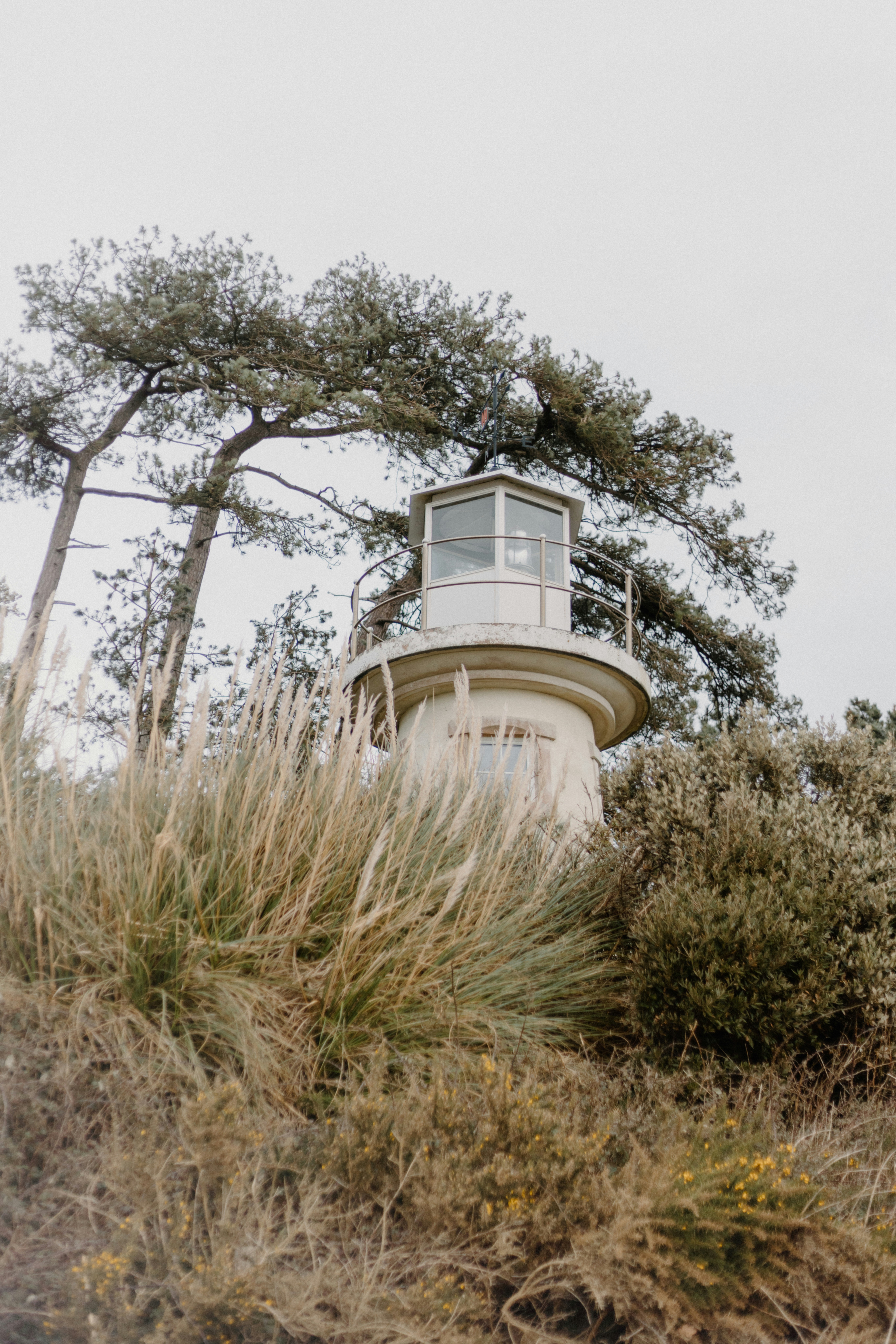 Photo by anniespratt