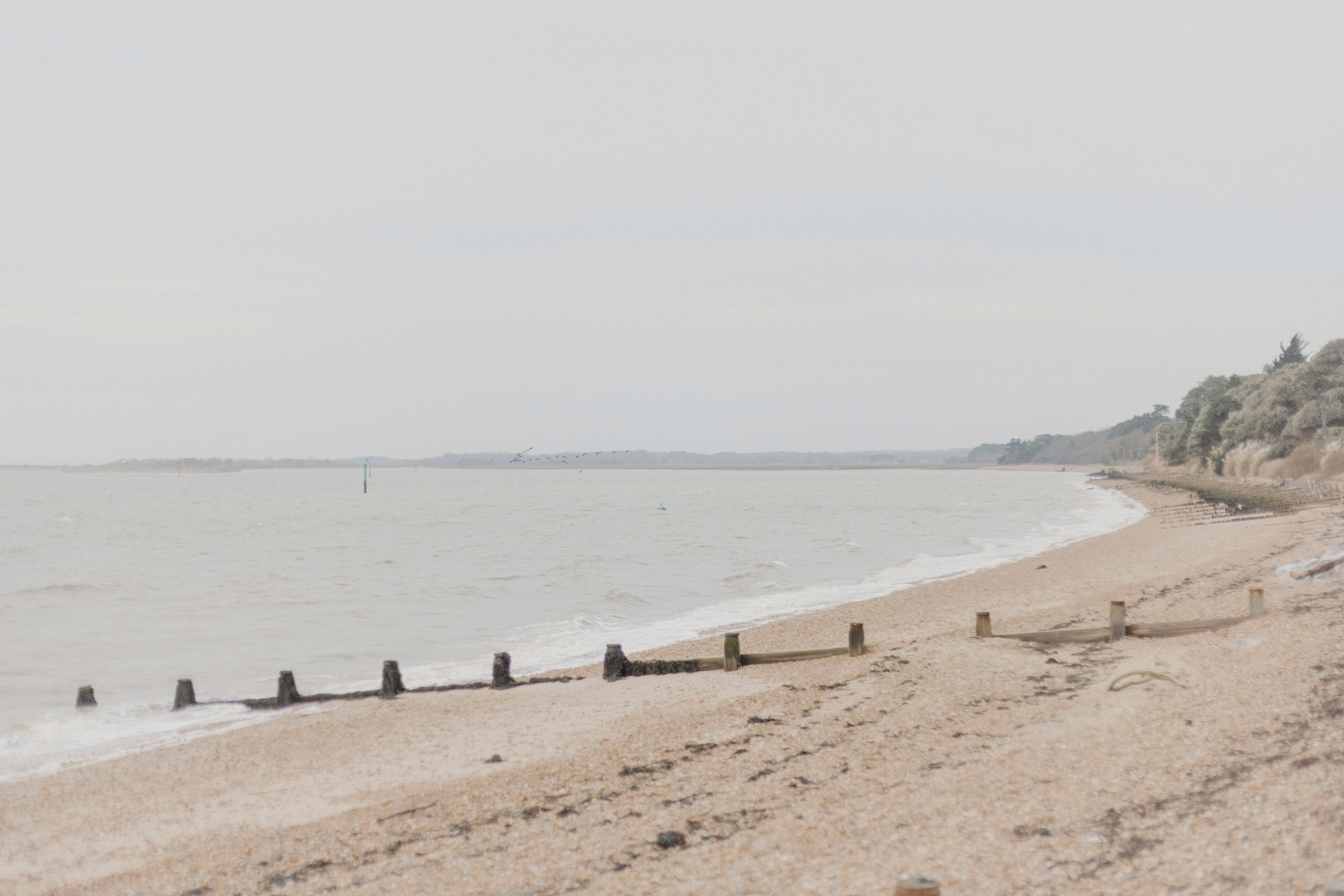 Photo by anniespratt