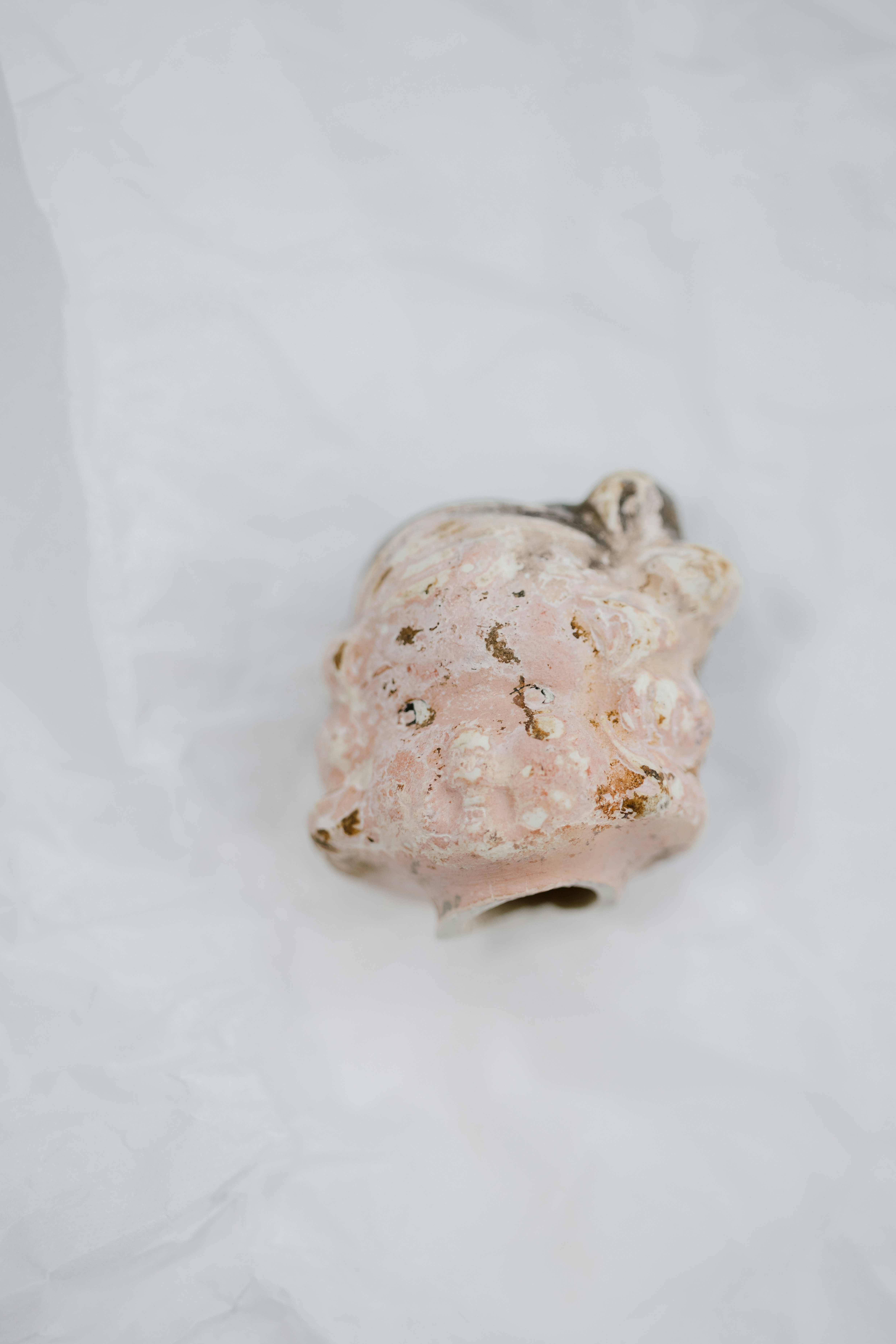 Photo by anniespratt