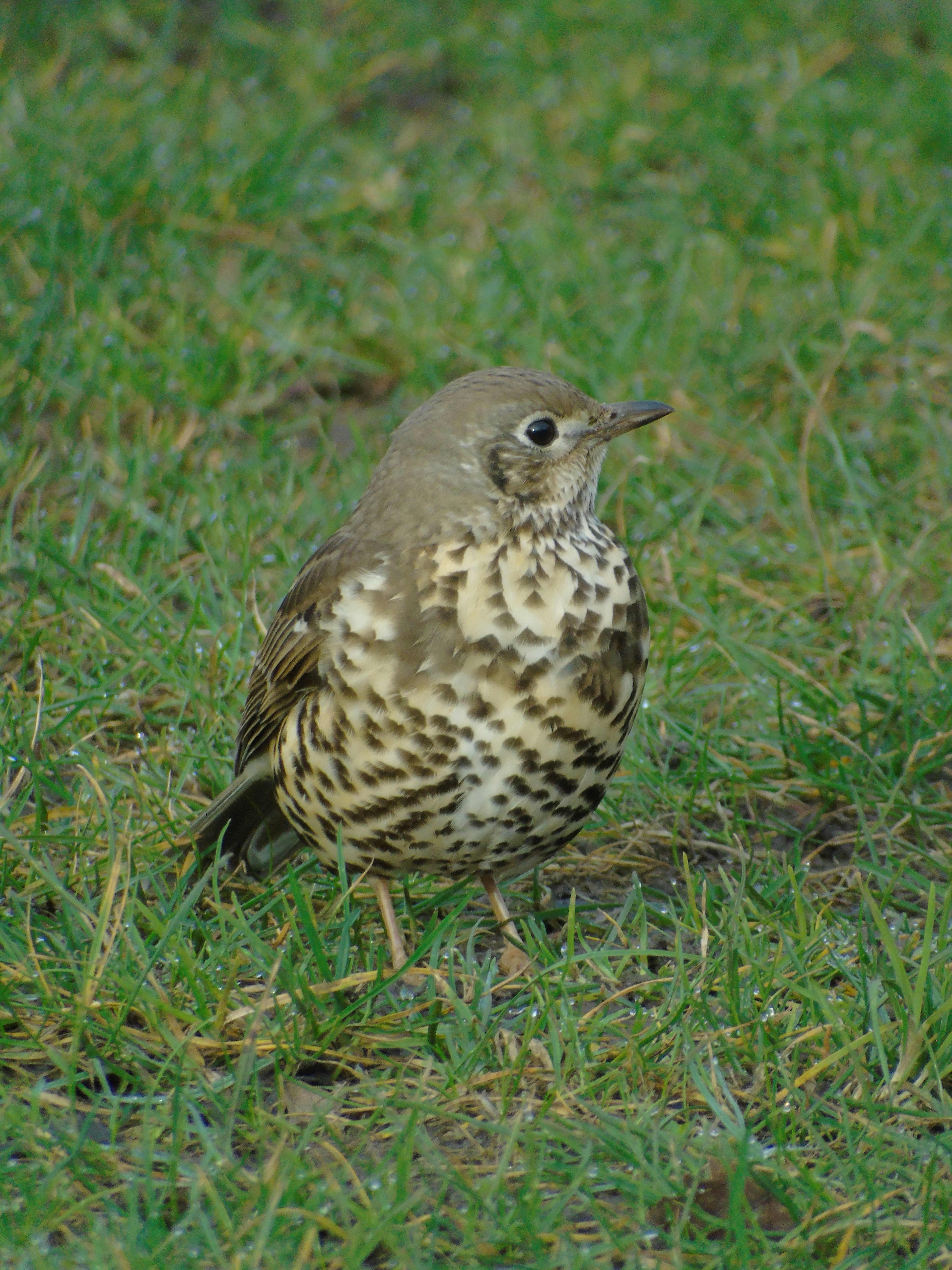 Photo by brookehannah