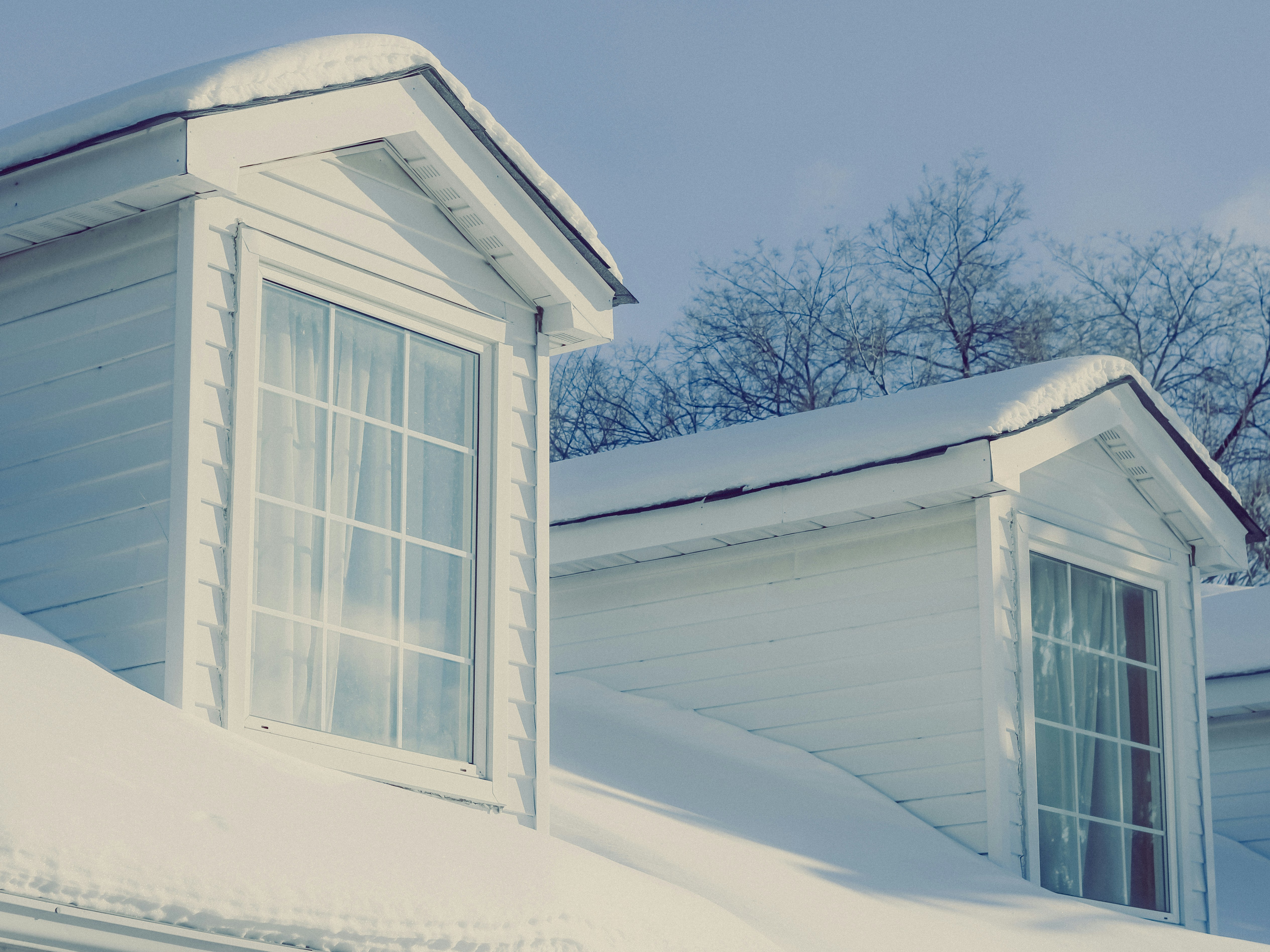 Photo by linusbelanger