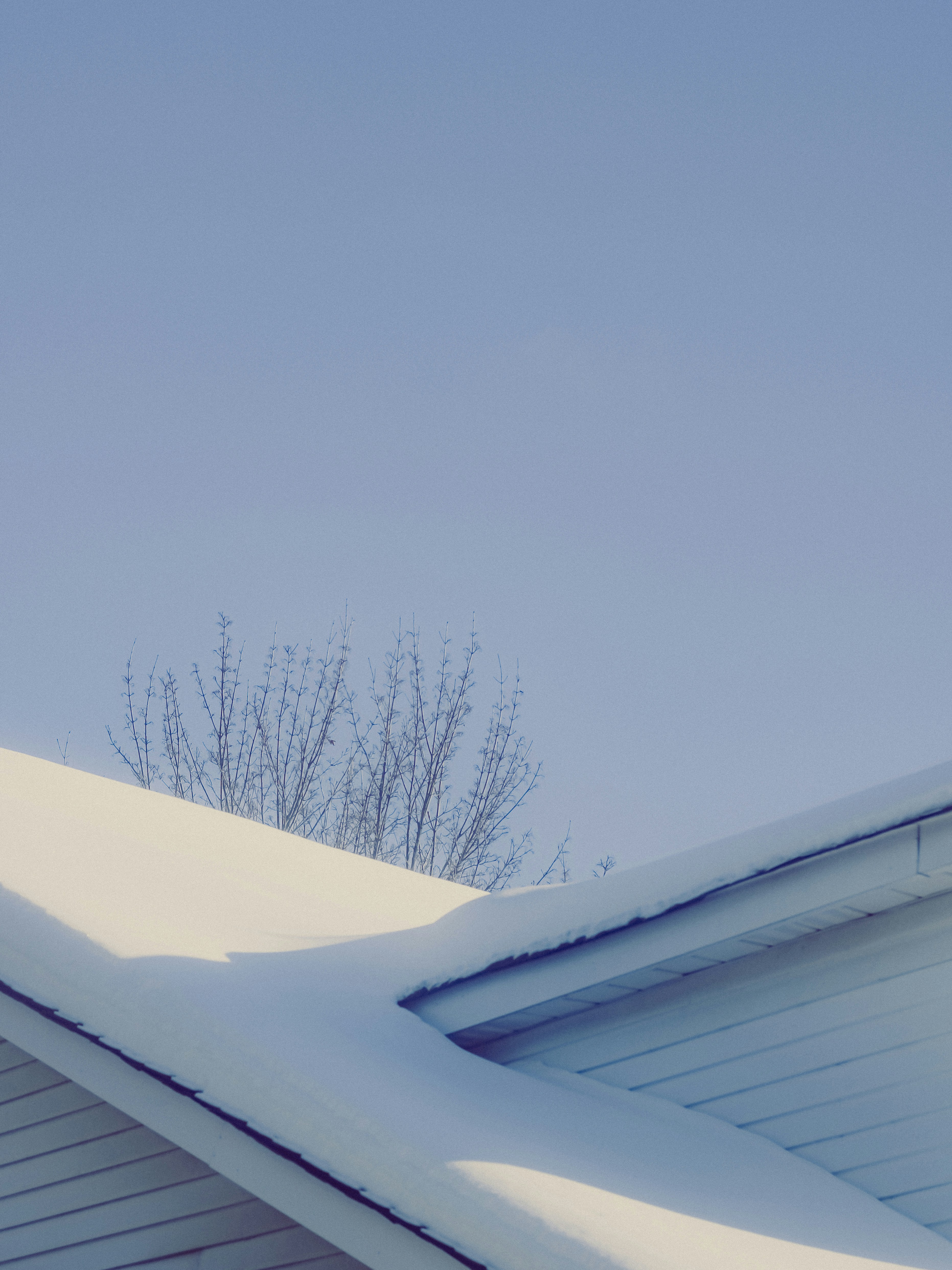 Photo by linusbelanger