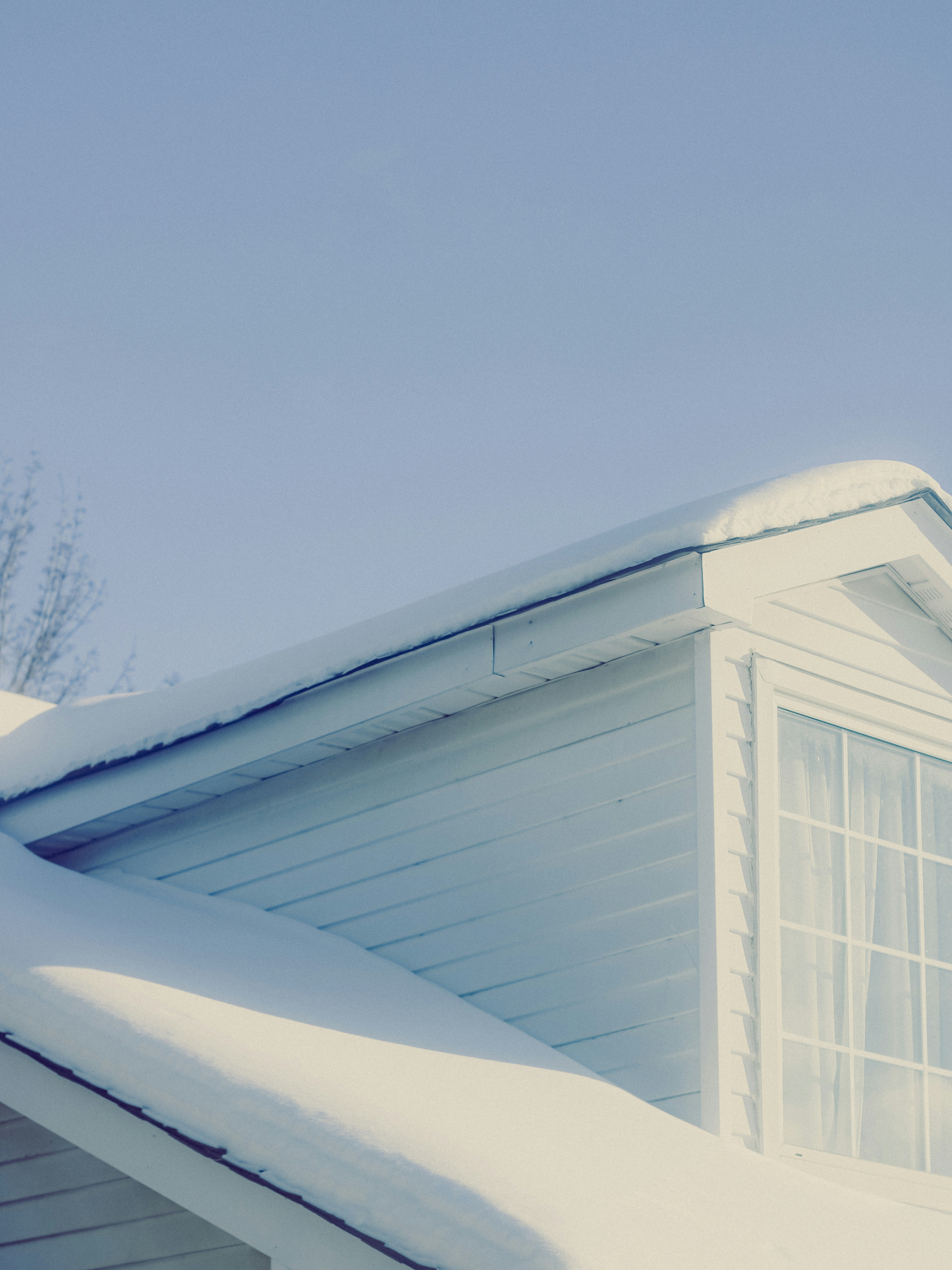 Photo by linusbelanger