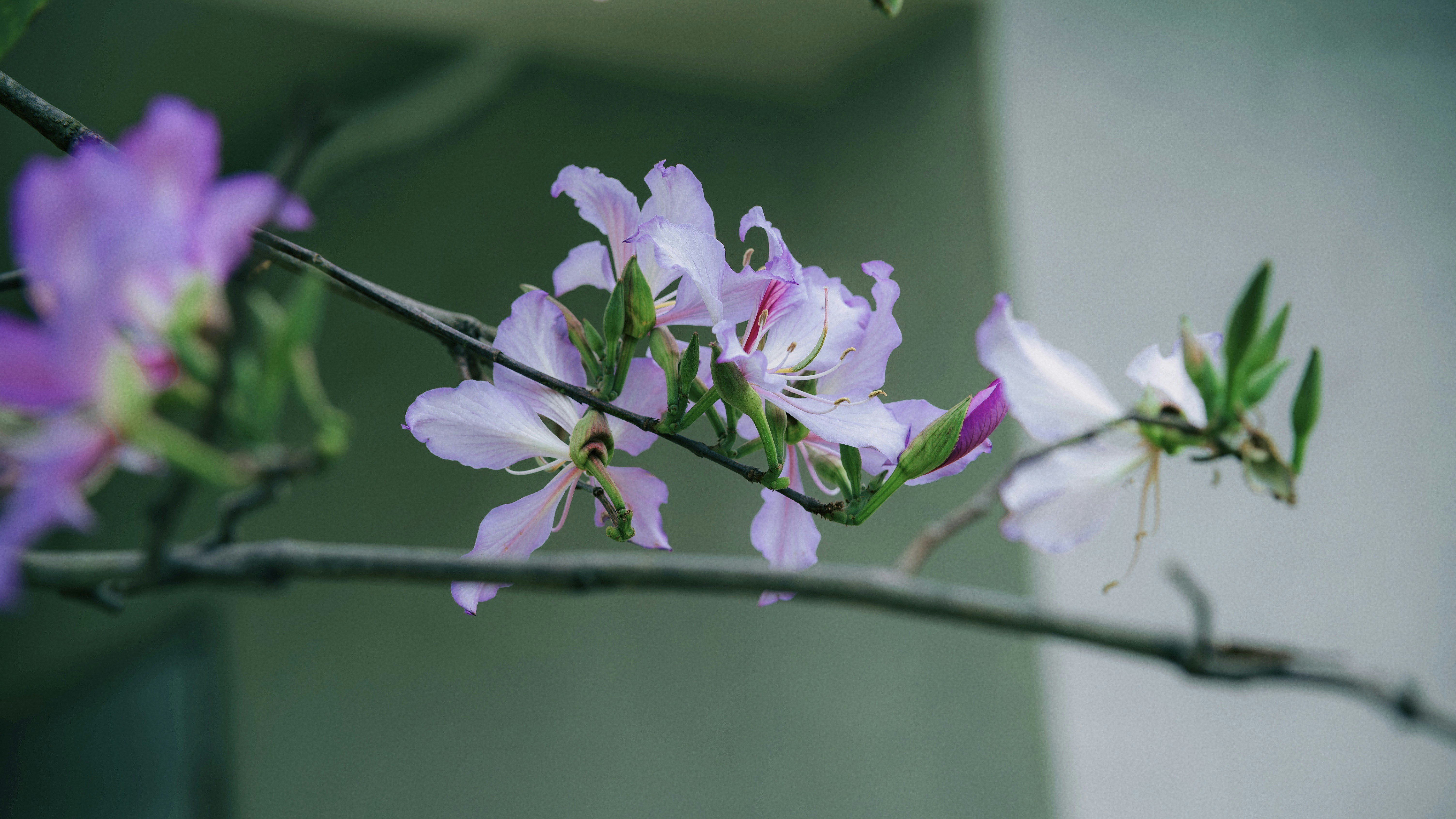 Photo by wangbinghua