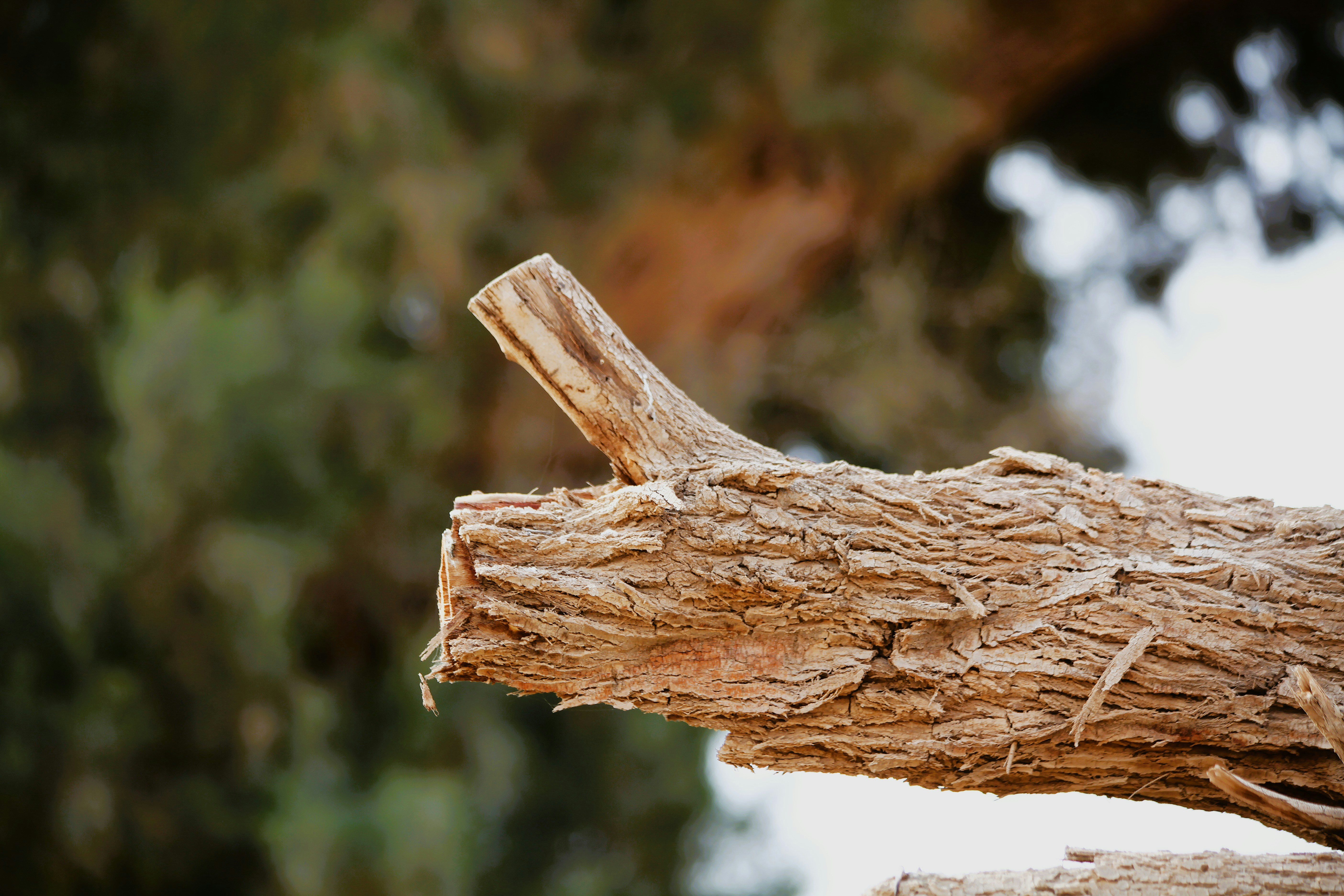 Photo by artist_mourad