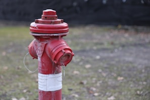 A red and white fire hydrant in a field