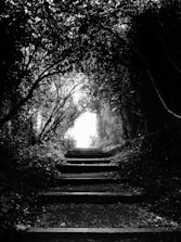 A black and white photo of a path in the woods
