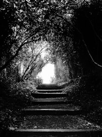 A black and white photo of a path in the woods