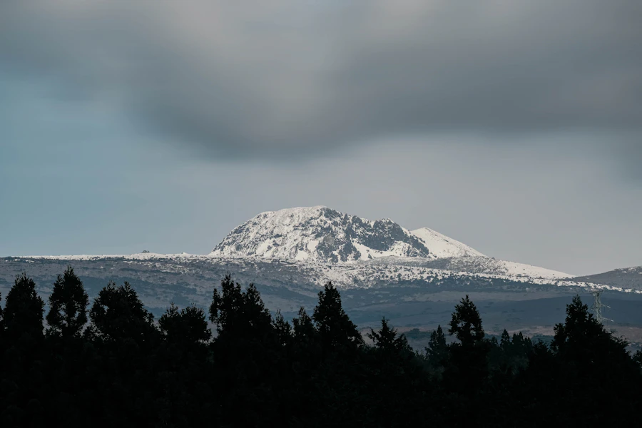 Snow on Hallasan above a dark pine forest on Jeju