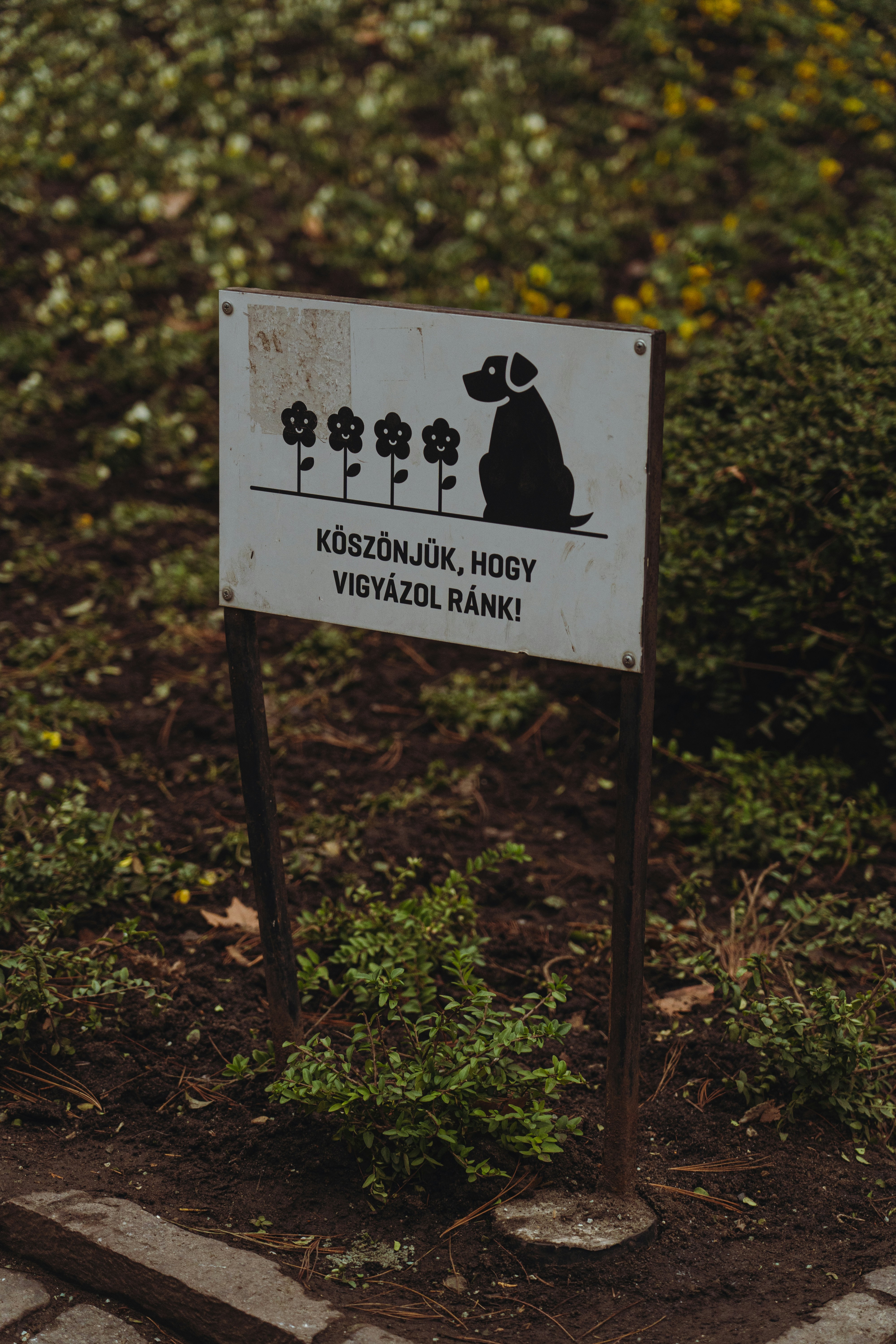 혼인신고 하는곳 관련 이미지2