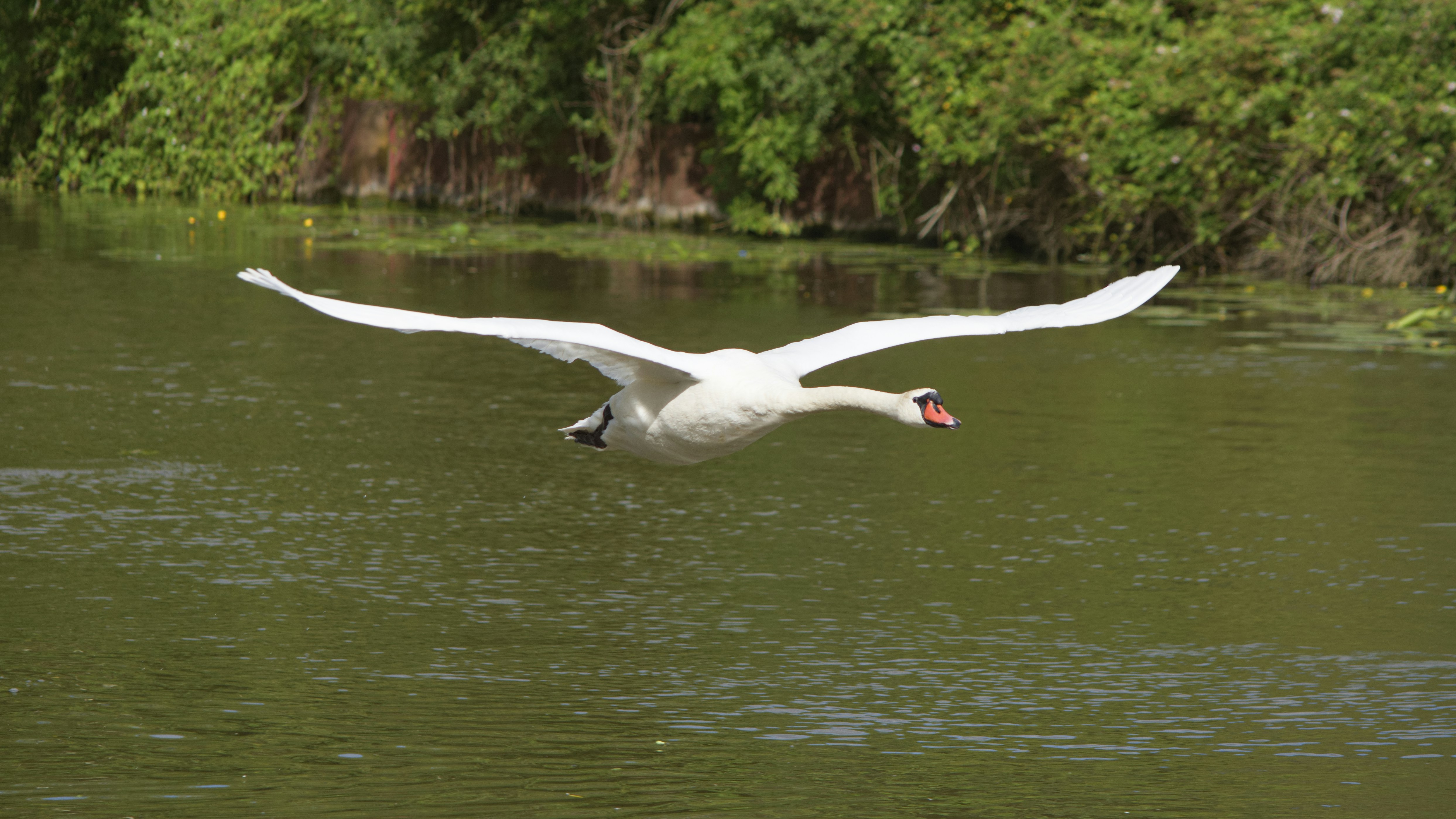 Photo by photopersonofpeople