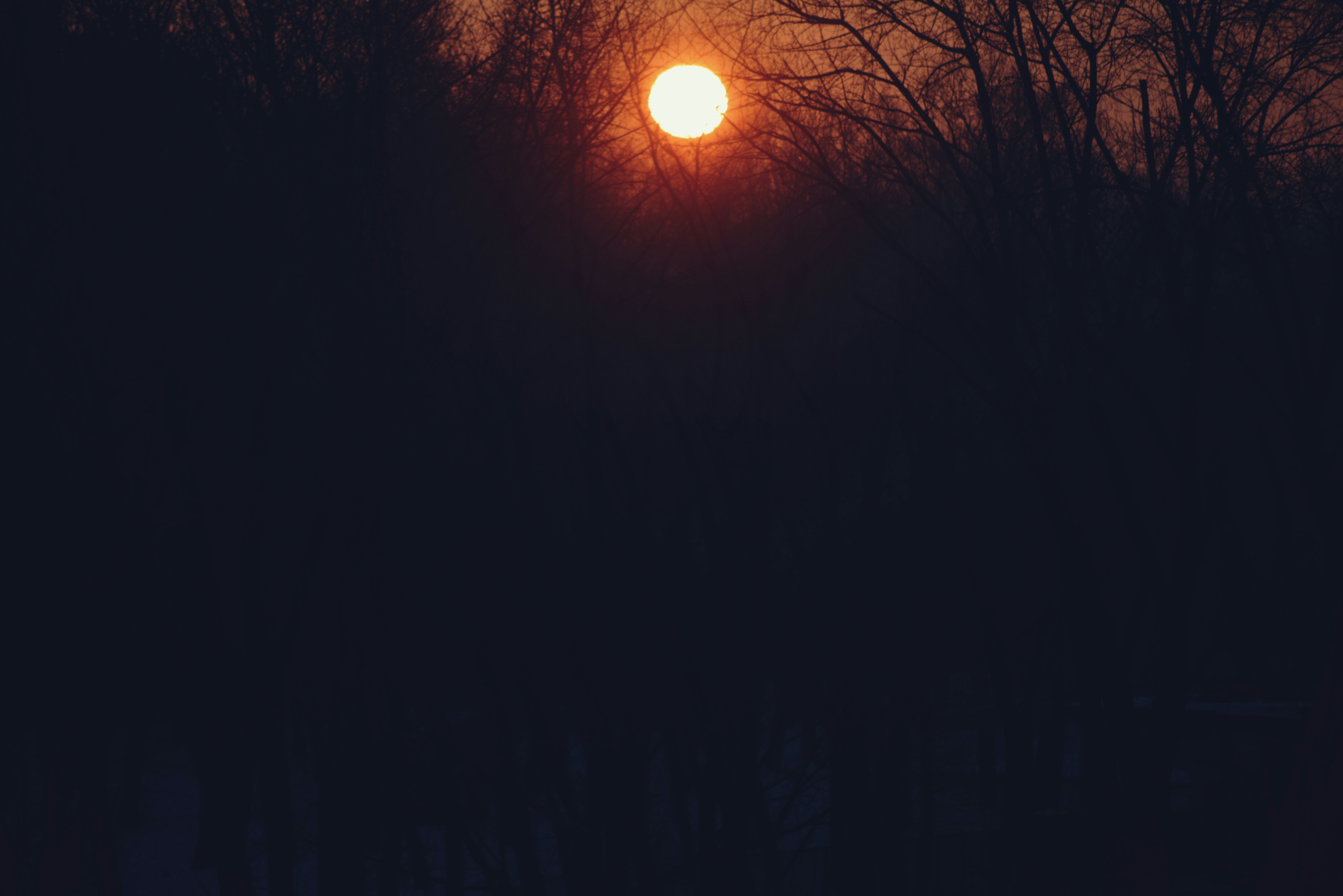 The sun is setting behind some trees in the dark