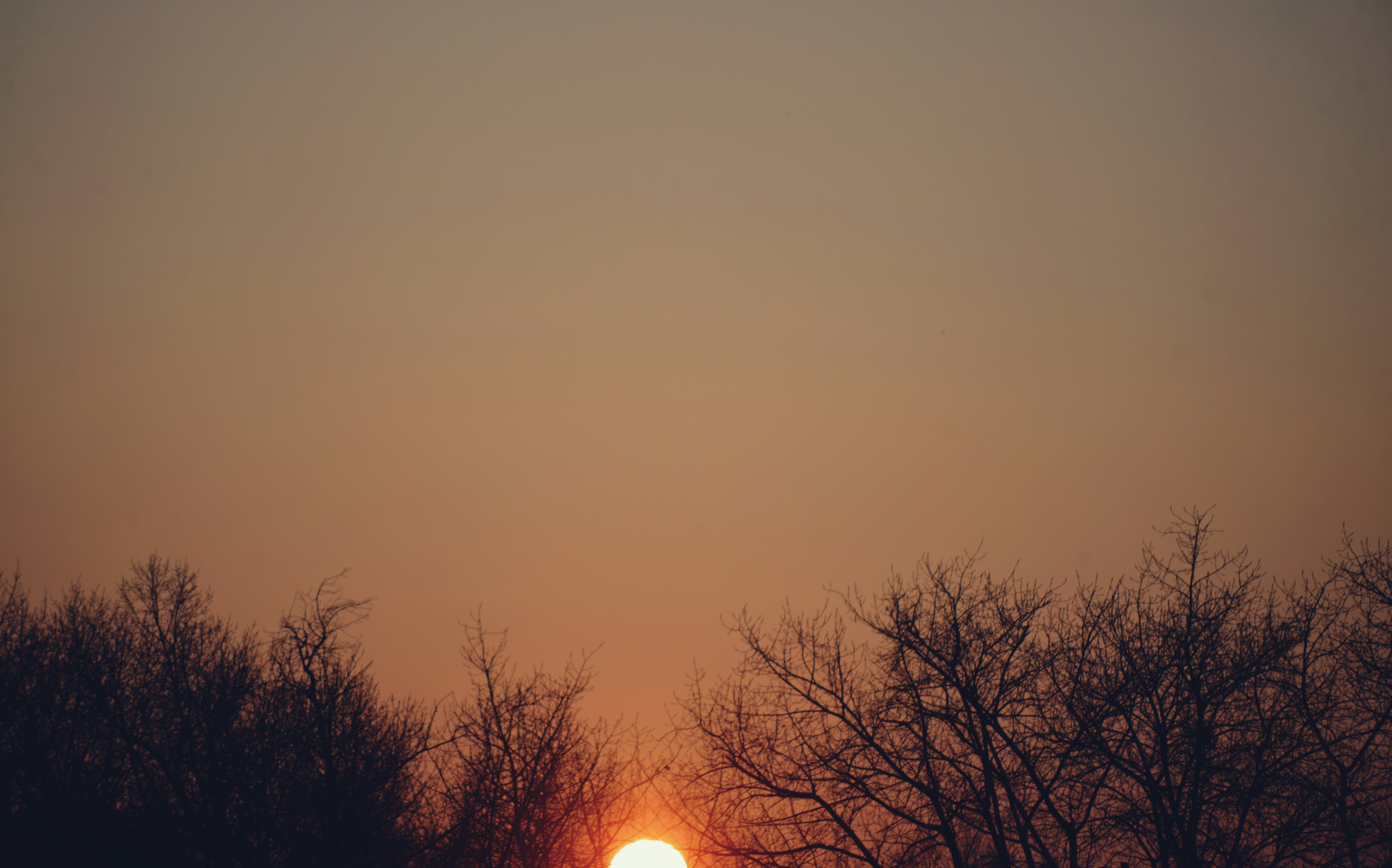 Photo by cherstve_pechivo