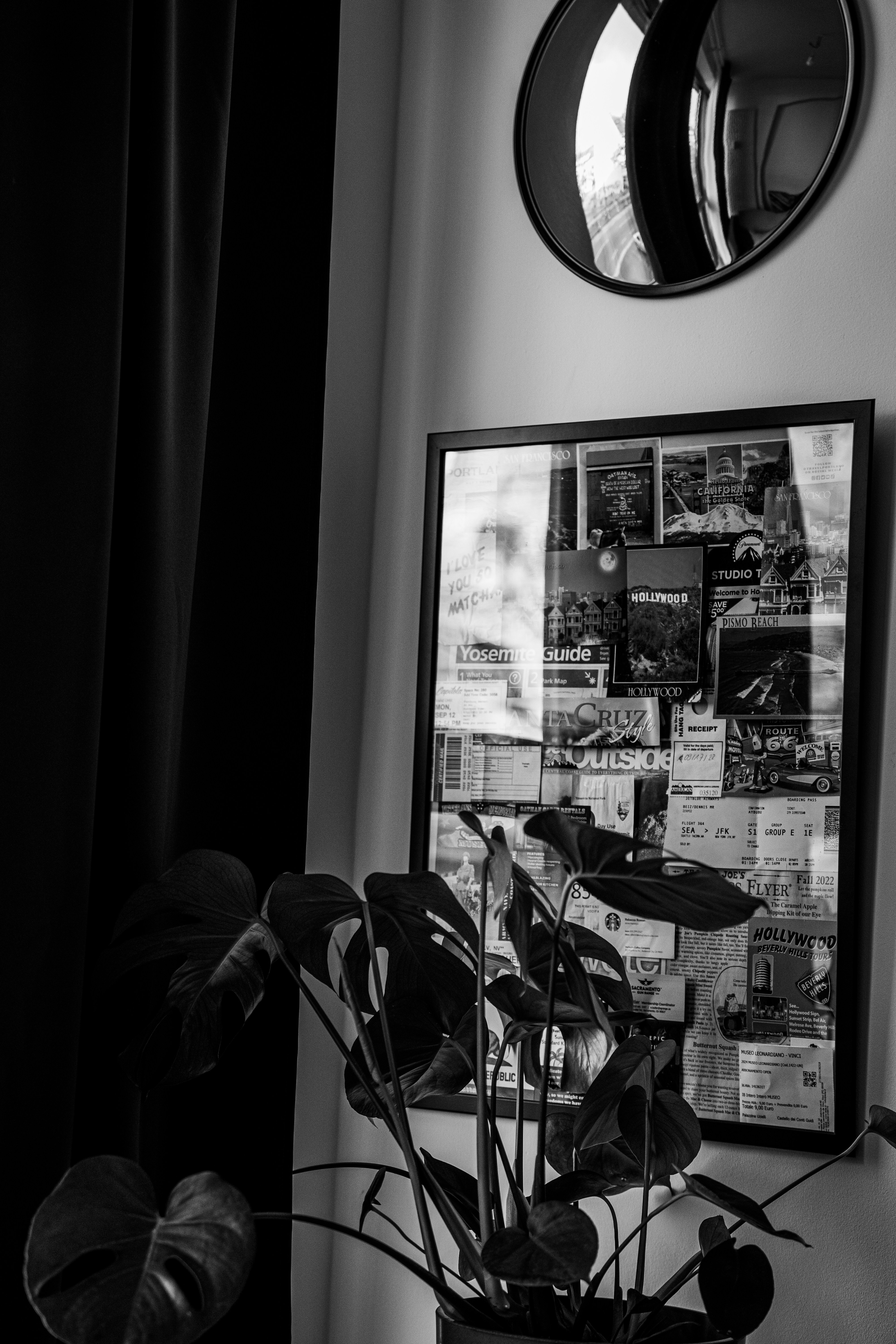 A black and white photo of a potted plant in front of a mirror