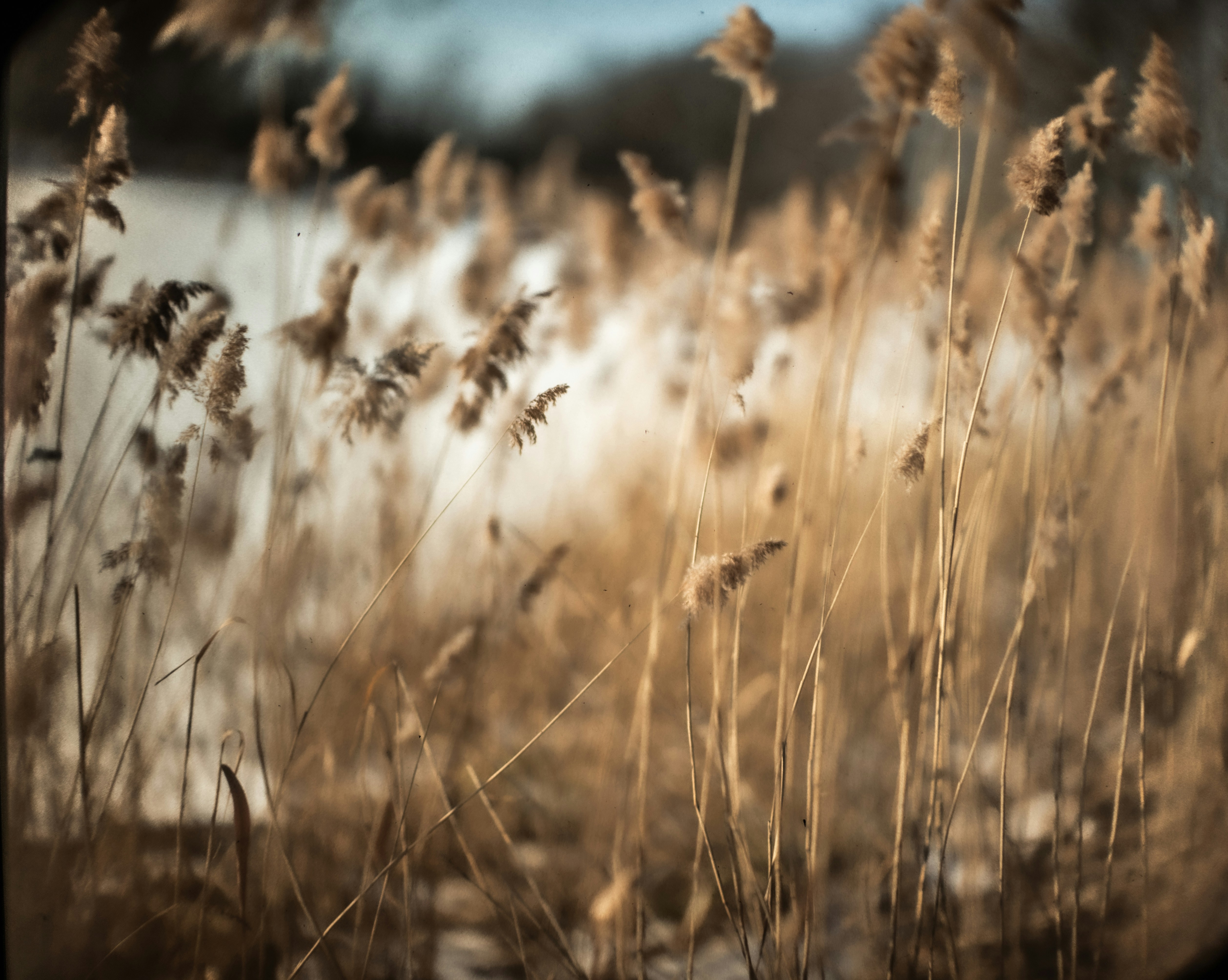 Photo by andrilliardbond