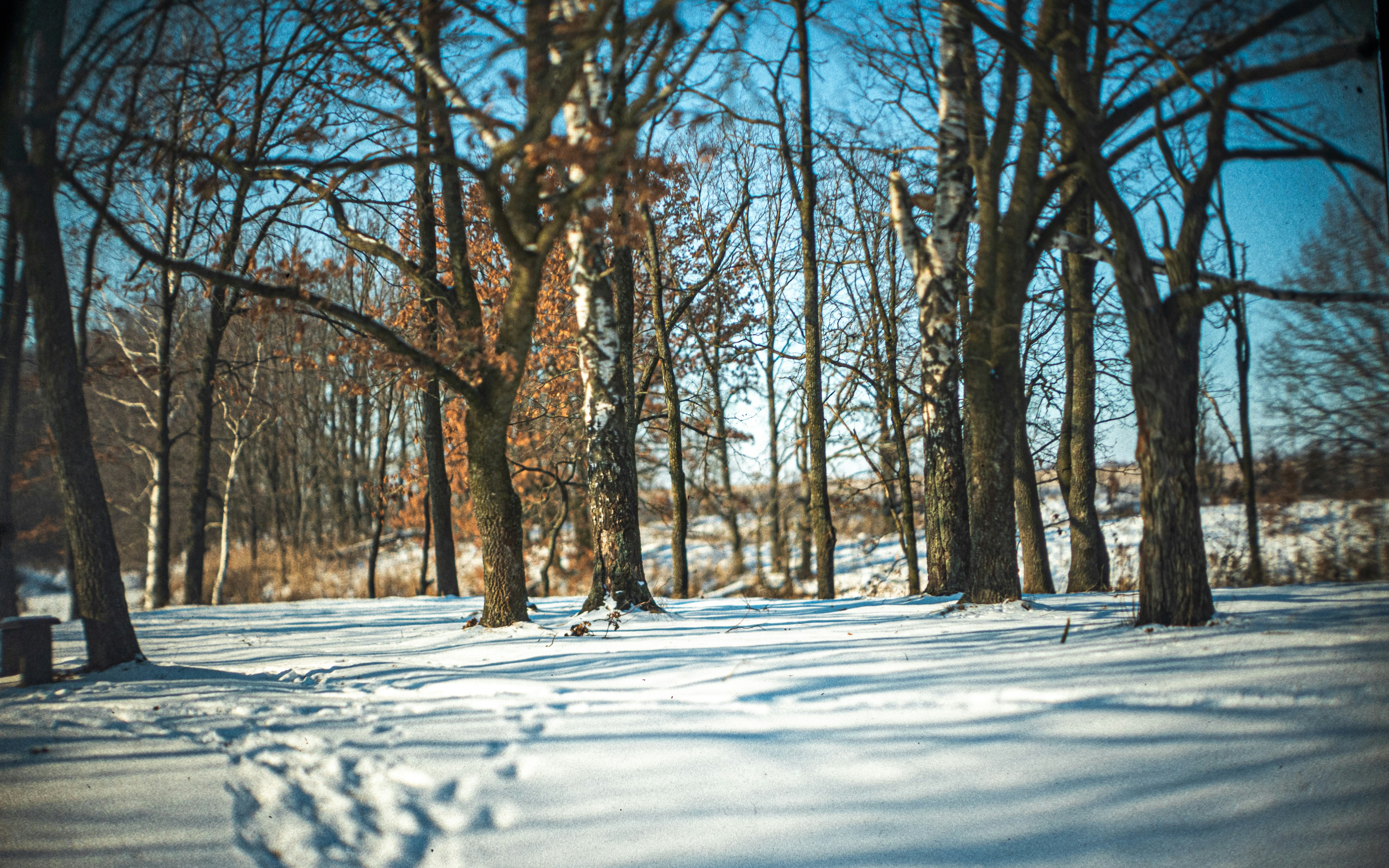 Photo by andrilliardbond