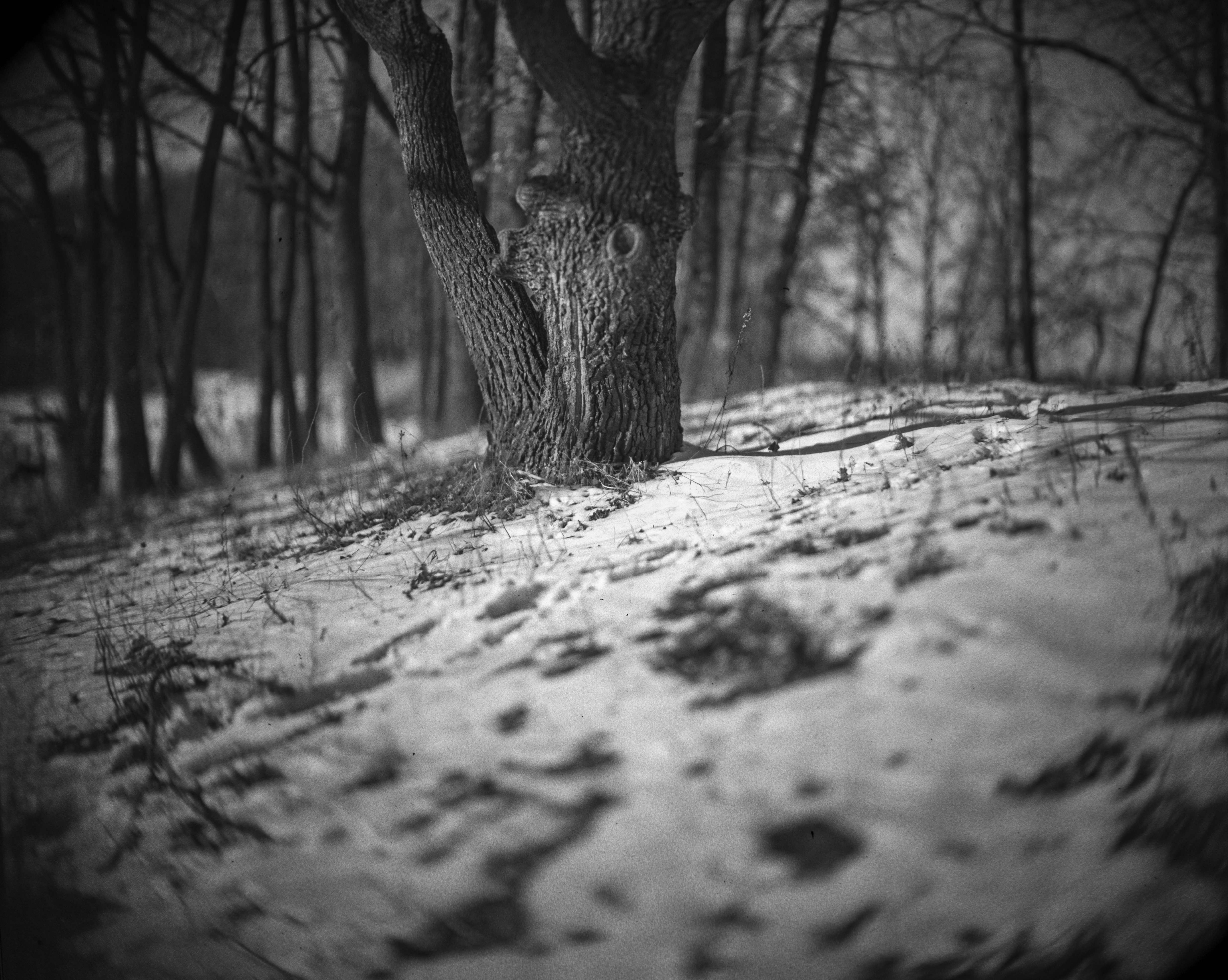 Photo by andrilliardbond