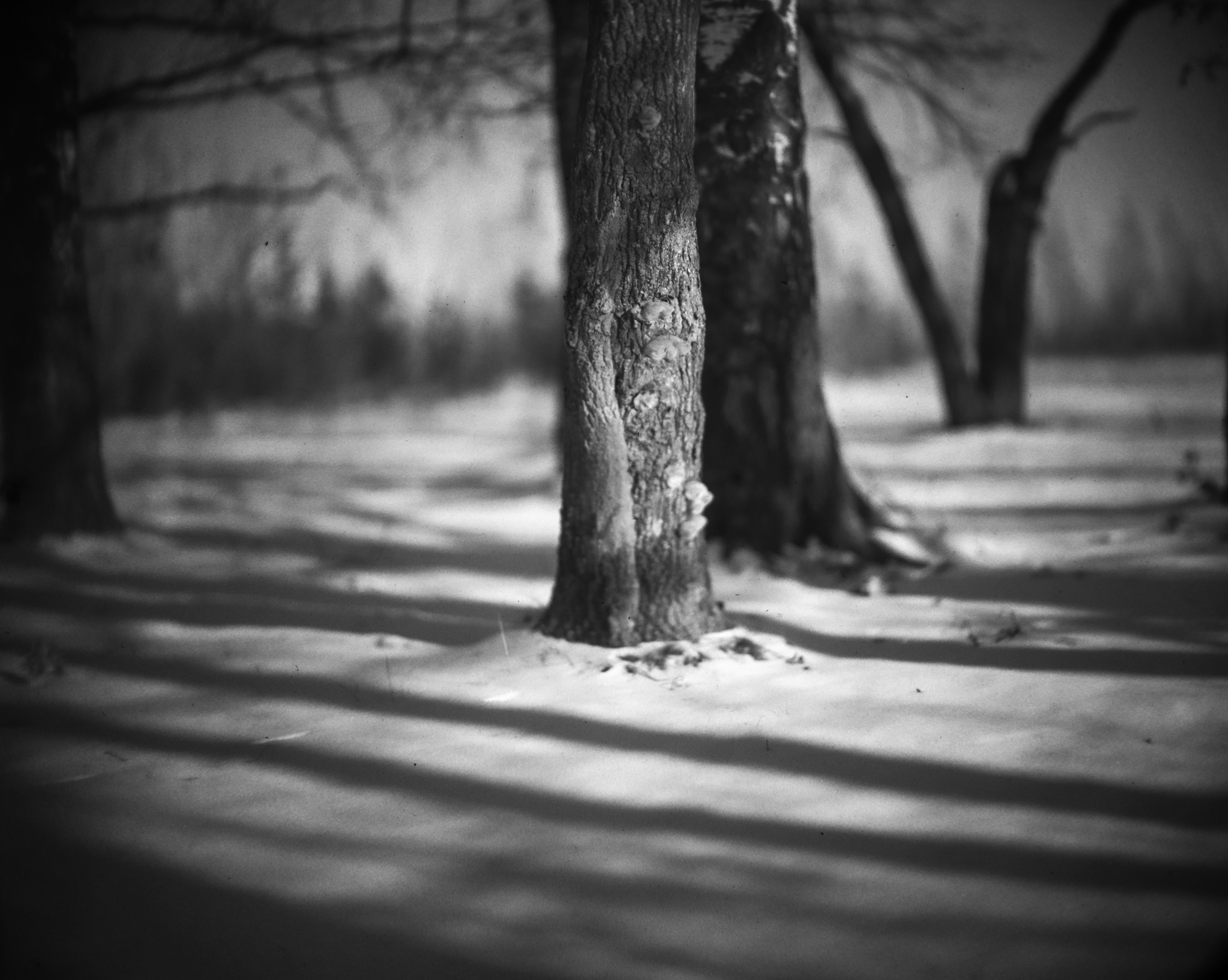 Photo by andrilliardbond