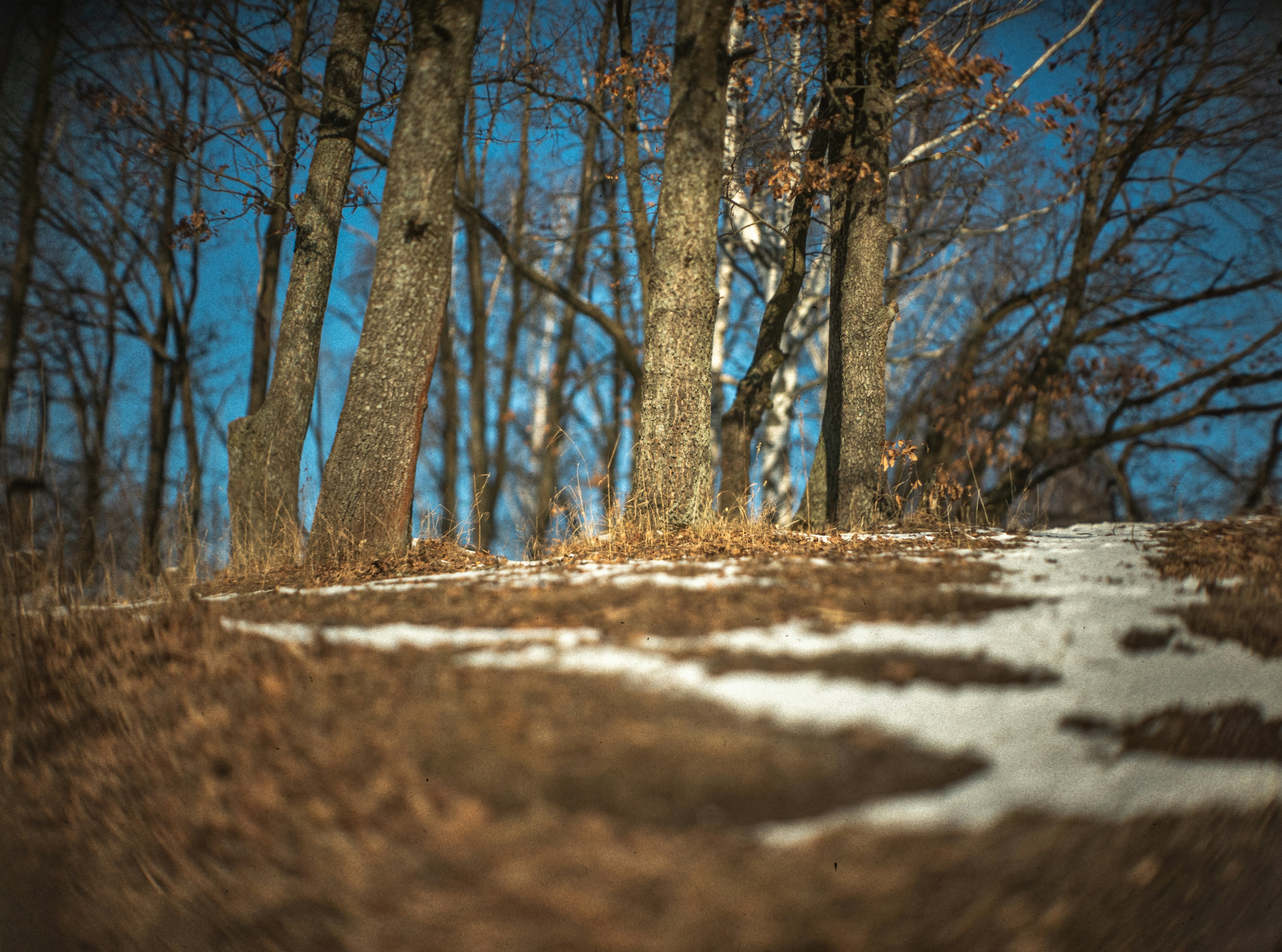 Photo by andrilliardbond