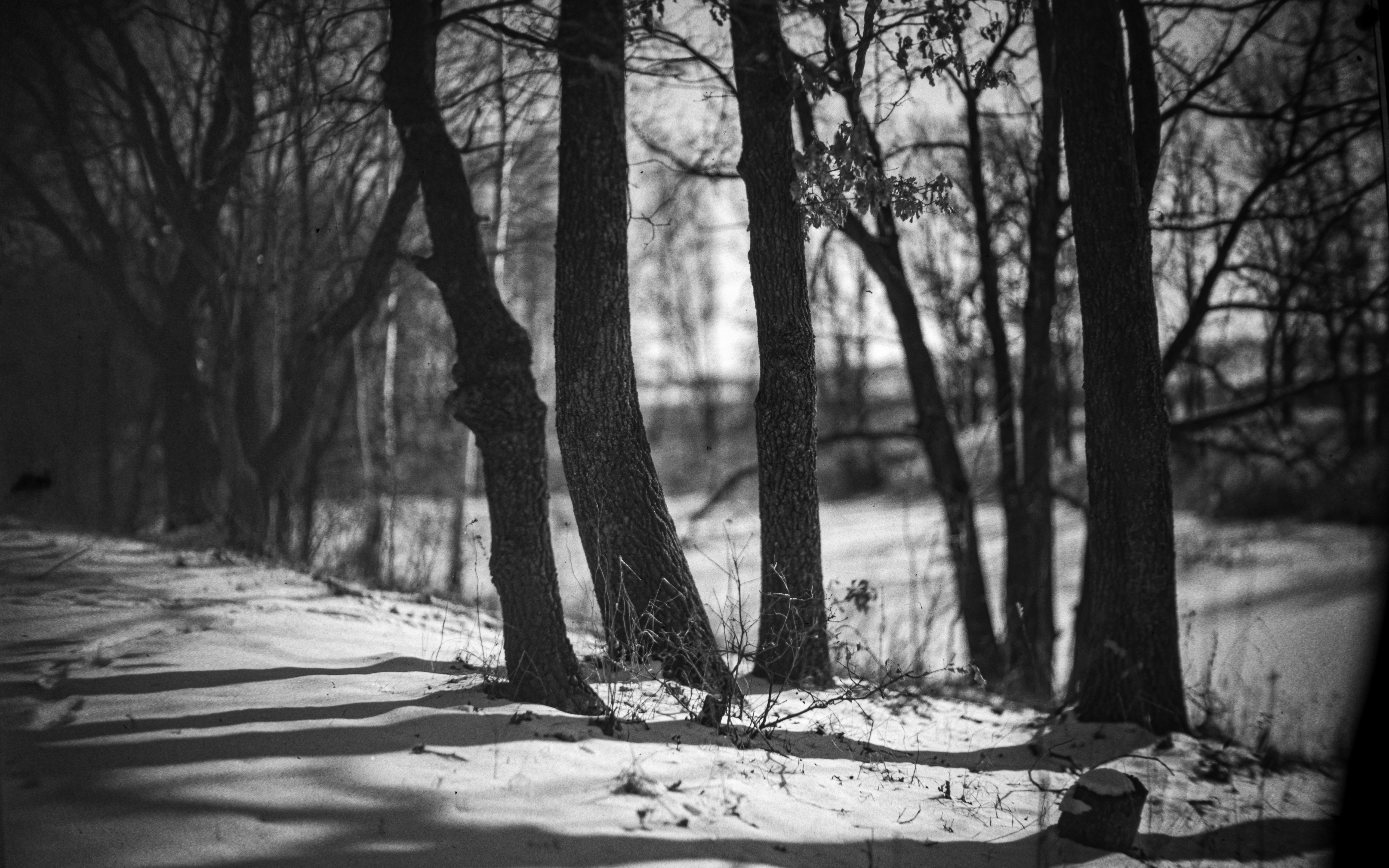 Photo by andrilliardbond