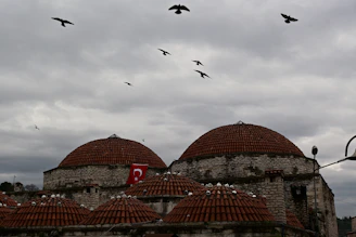 A flock of birds flying over a building