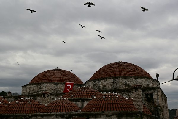 A flock of birds flying over a building — Safranbolu, Turkey