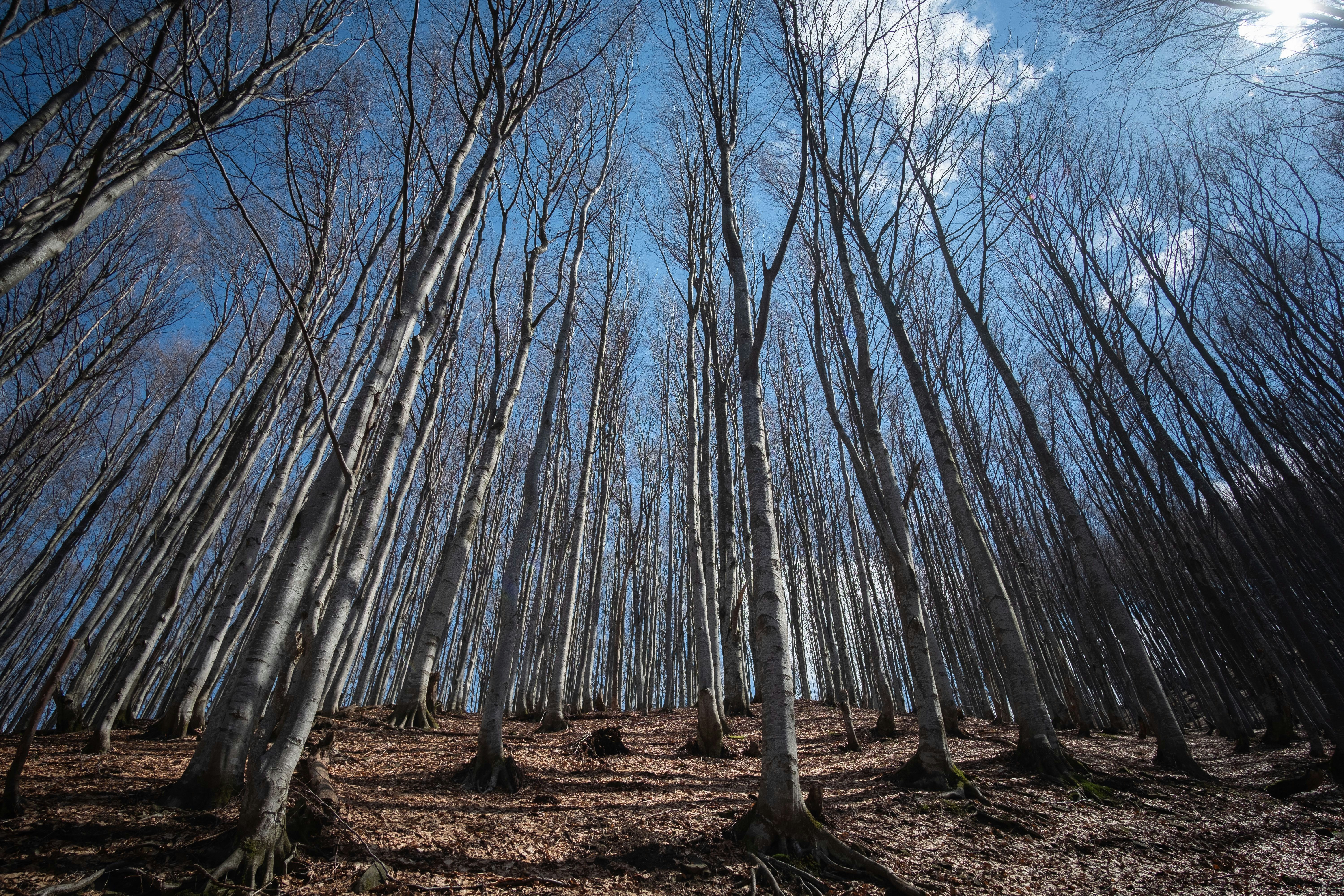 Photo by sevencolors