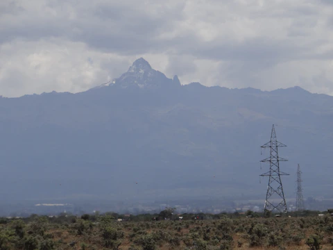 A field with a mountain in the background