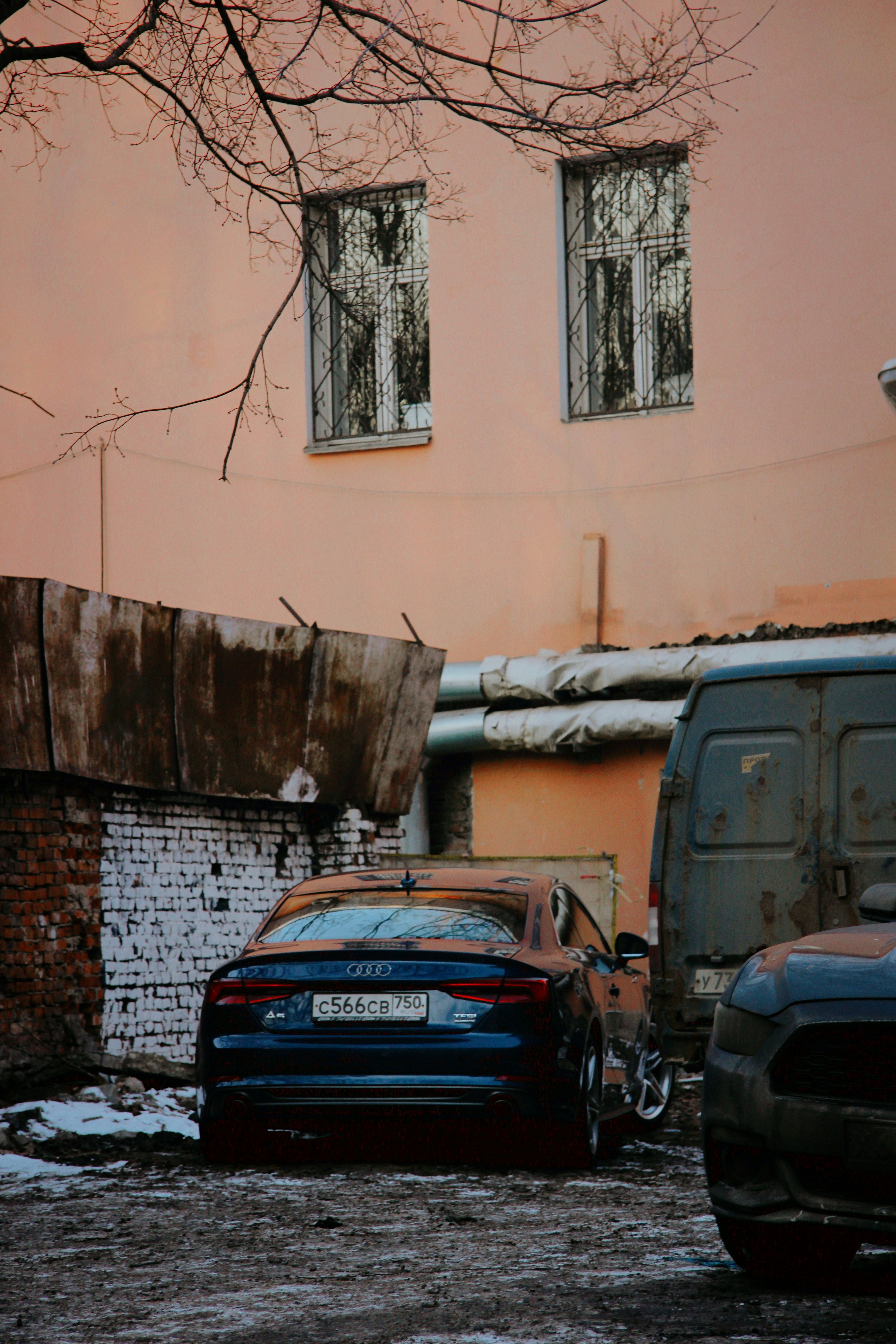 Photo by felis_catus