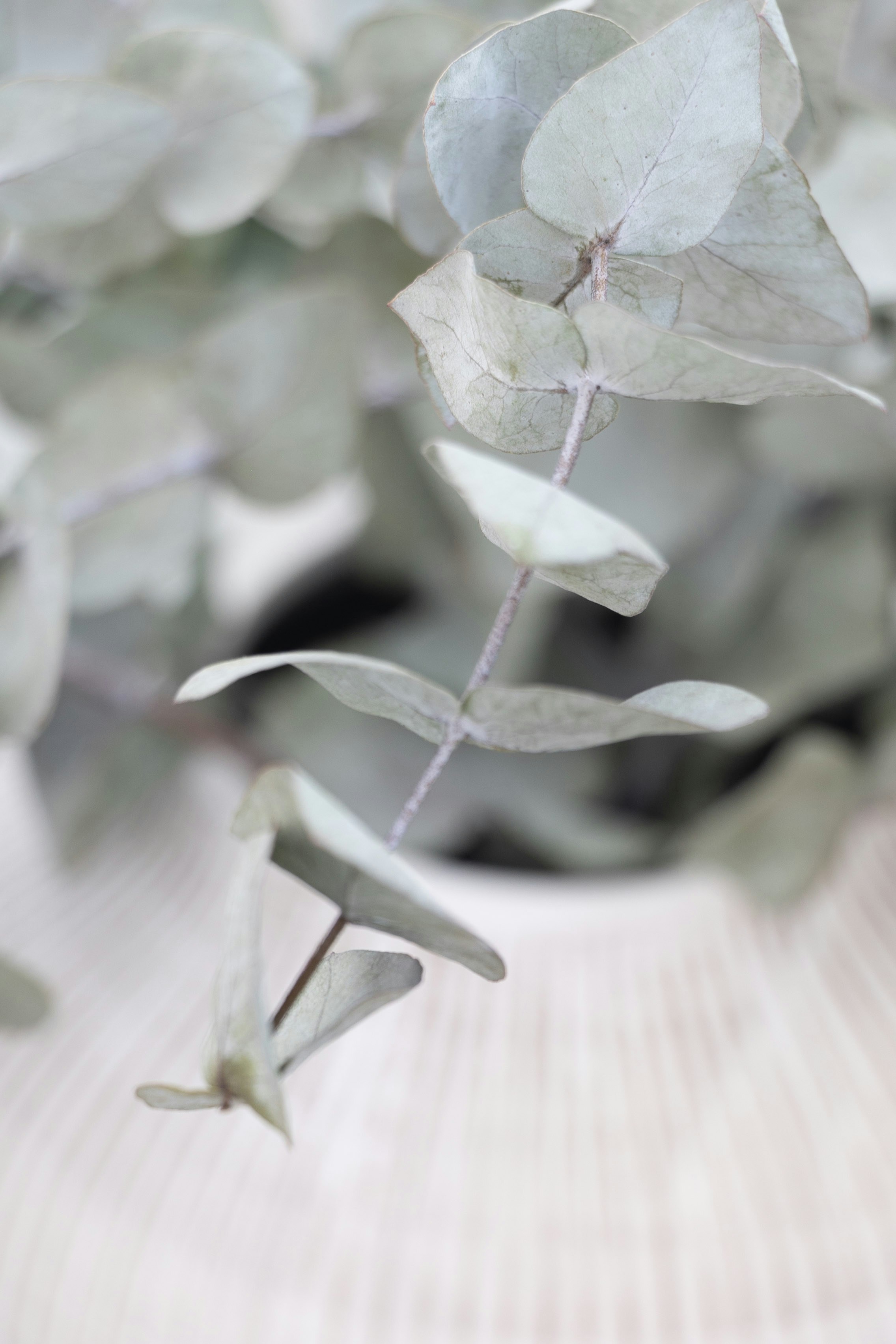 Photo by kiaramartin