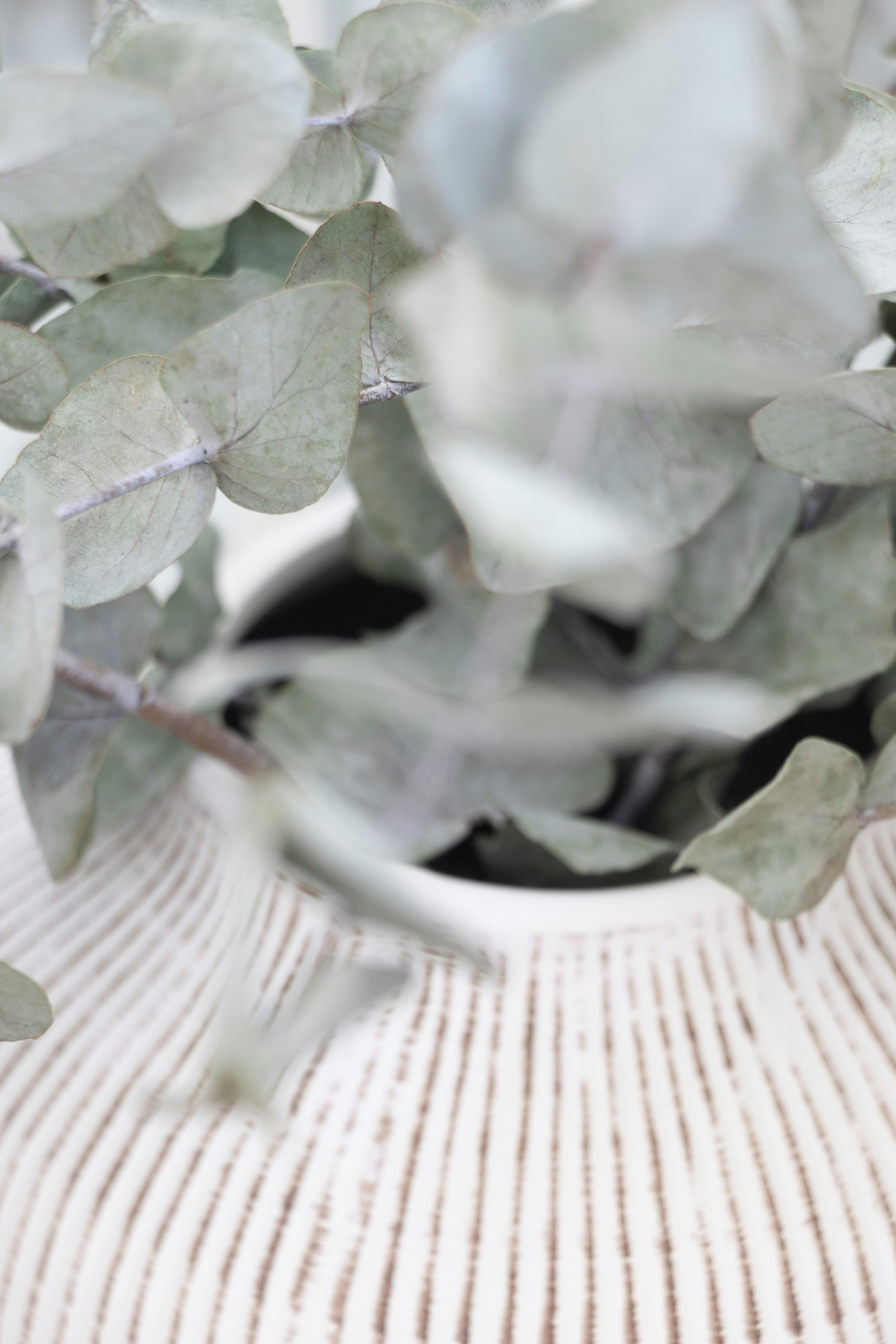 Photo by kiaramartin