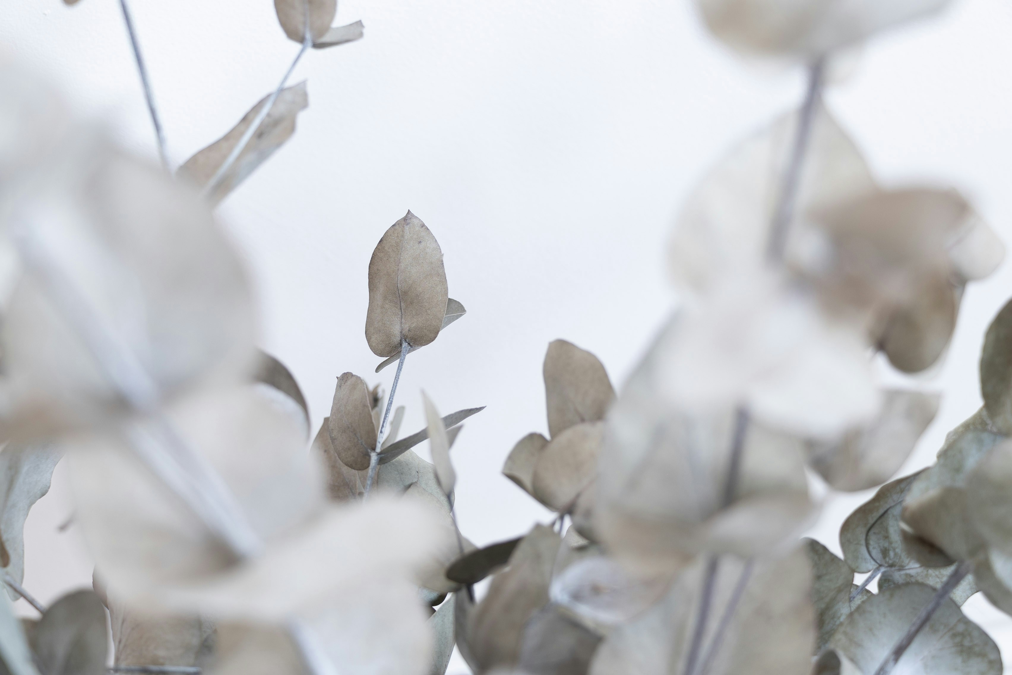 Photo by kiaramartin