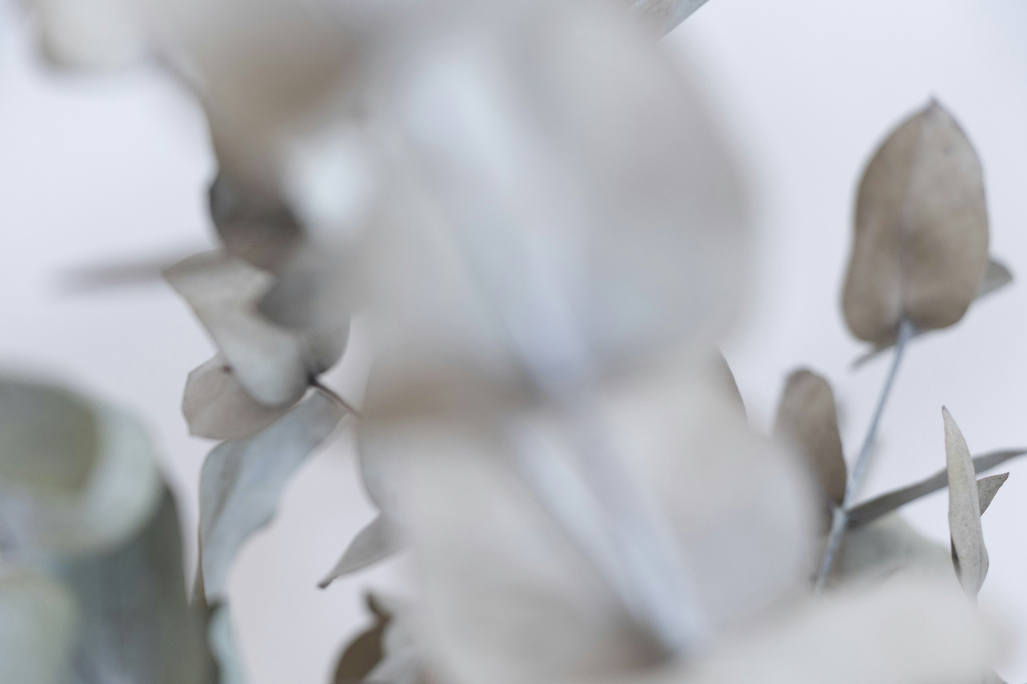 Photo by kiaramartin