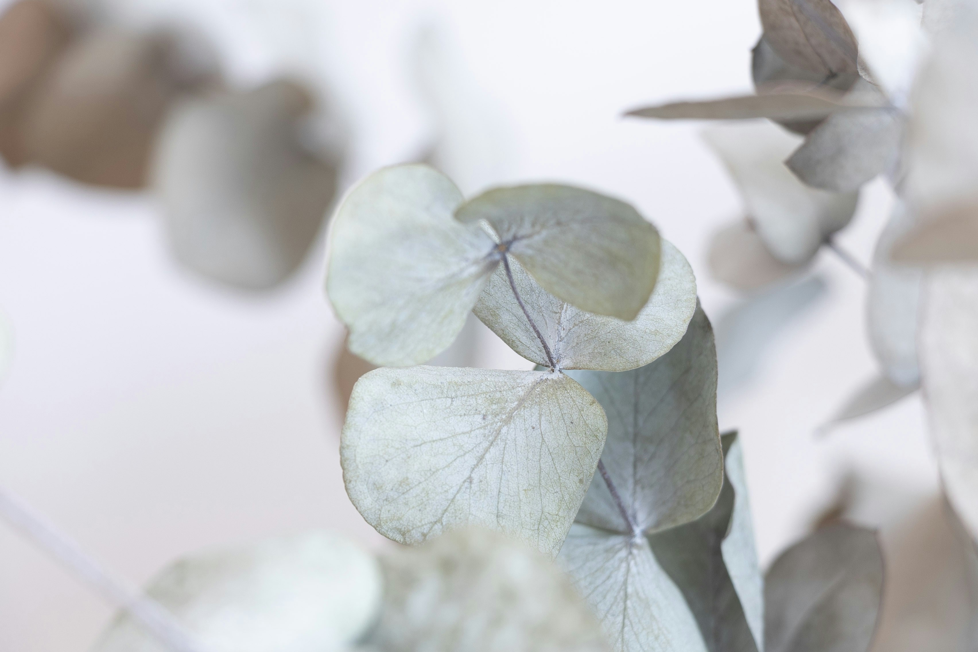 Photo by kiaramartin