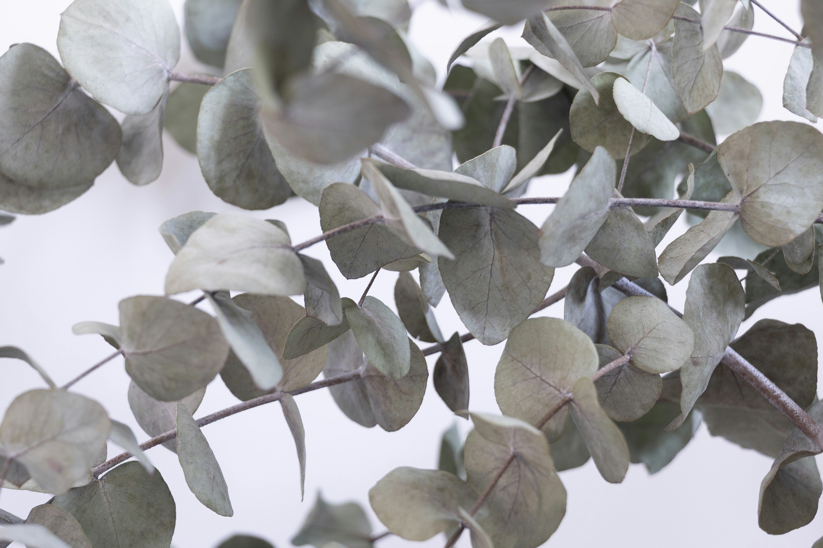 Photo by kiaramartin