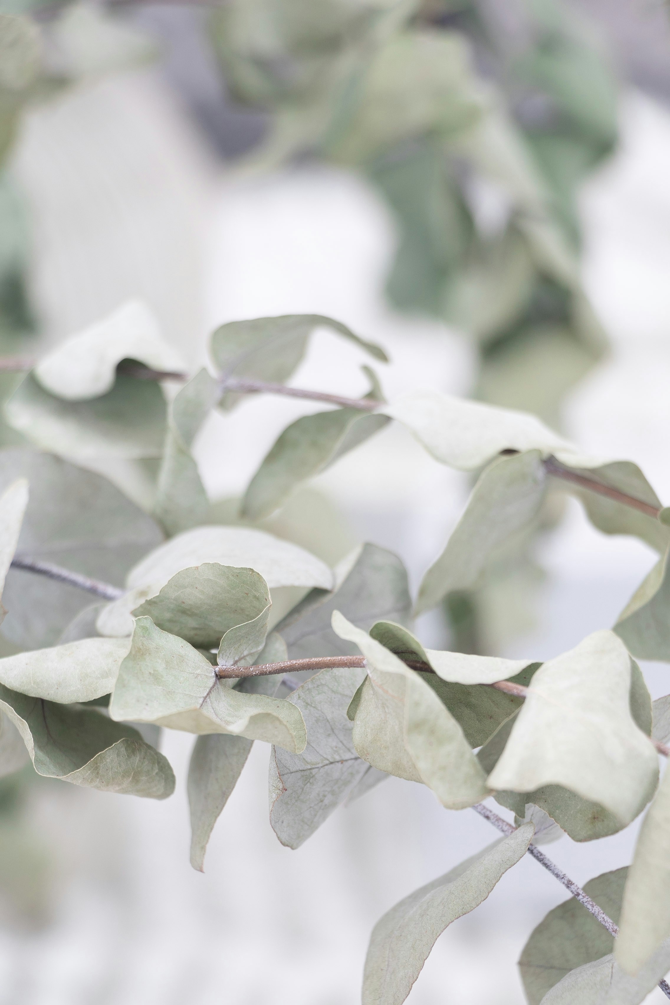 Photo by kiaramartin