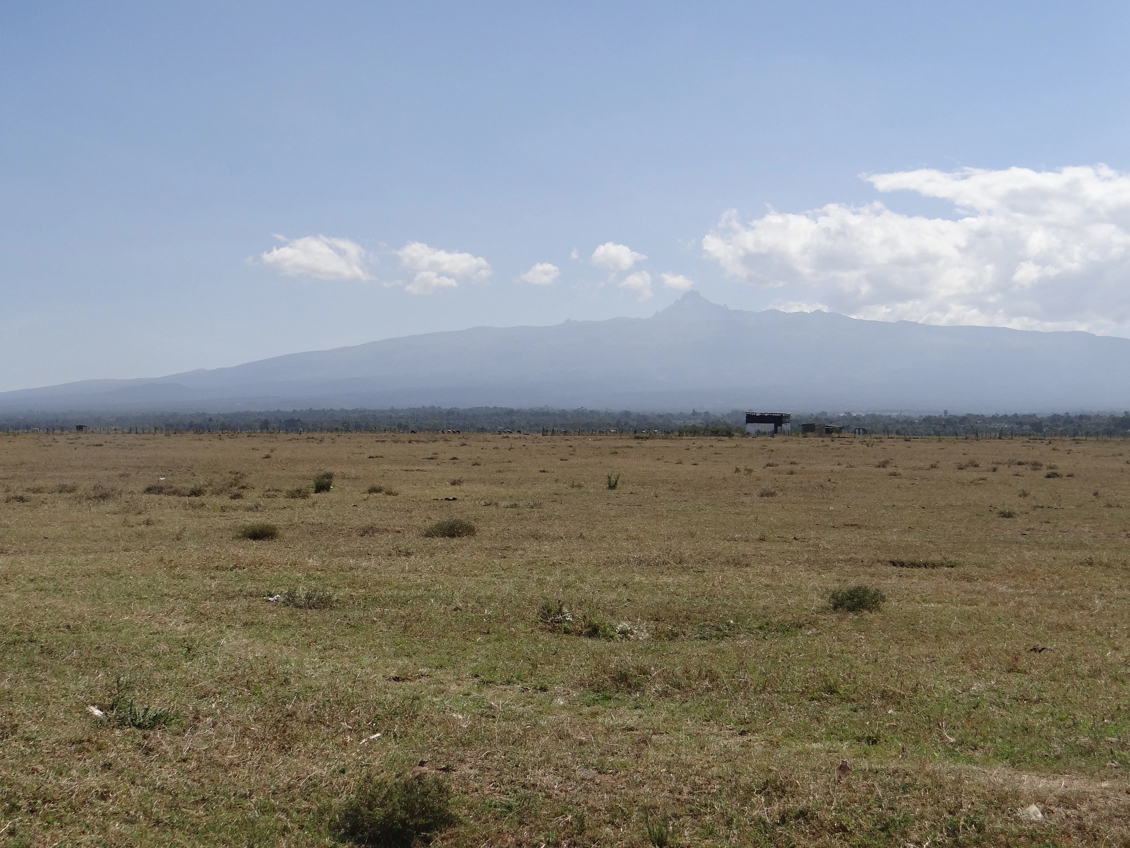 Plati Laikipijos lyguma ties Lamurija, horizonte – Kenijos kalnas