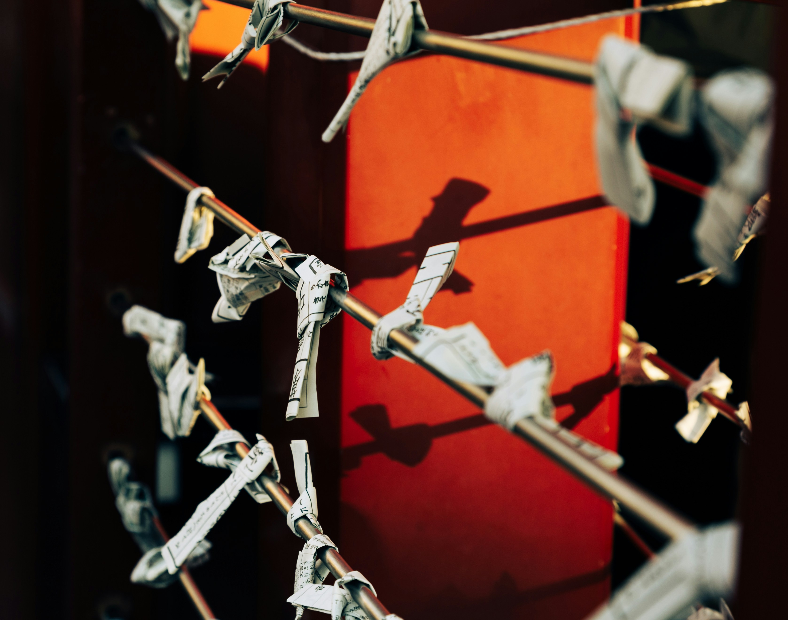 A bunch of scissors are hanging on a clothes line