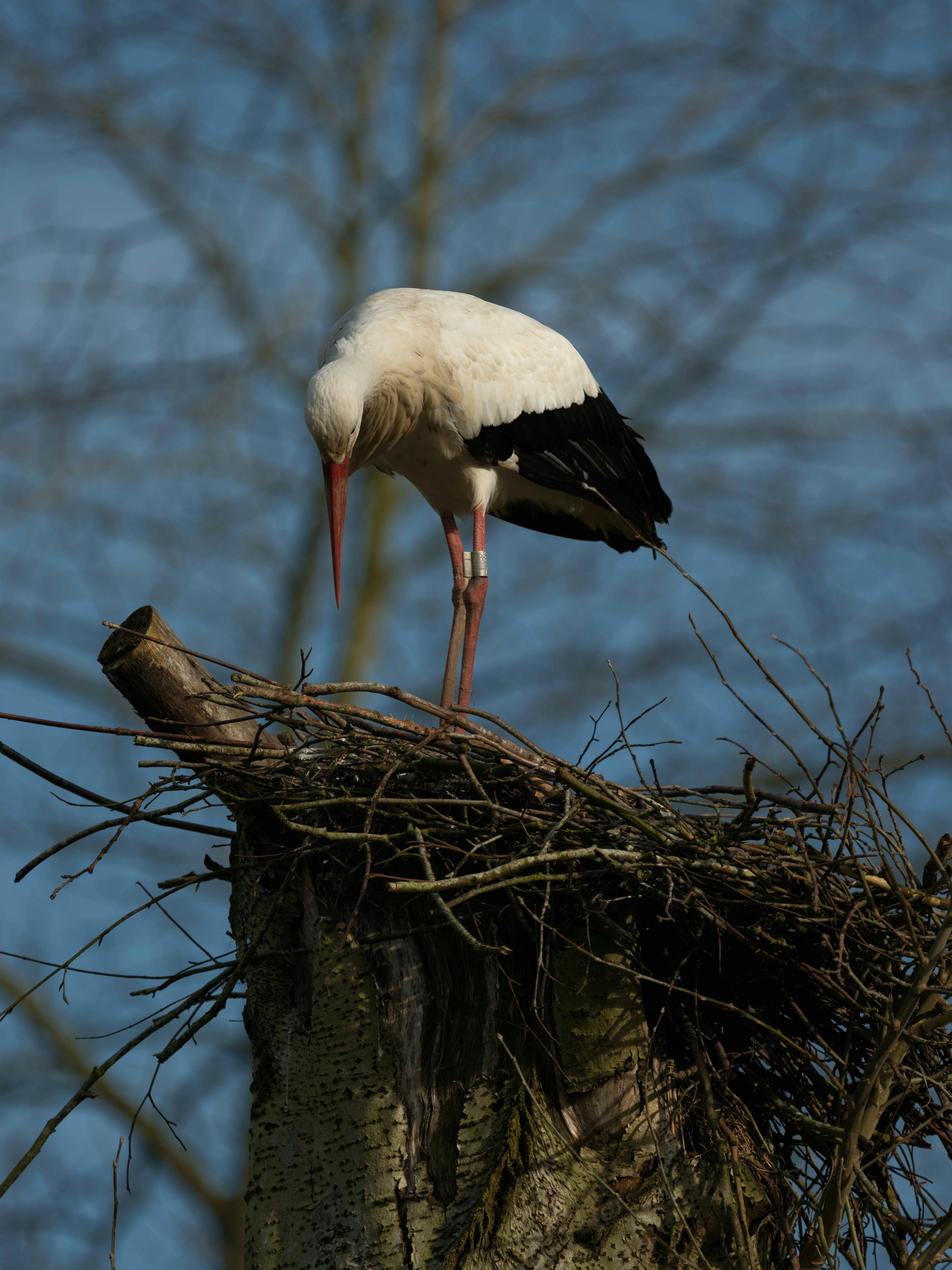 Photo by haberdoedas