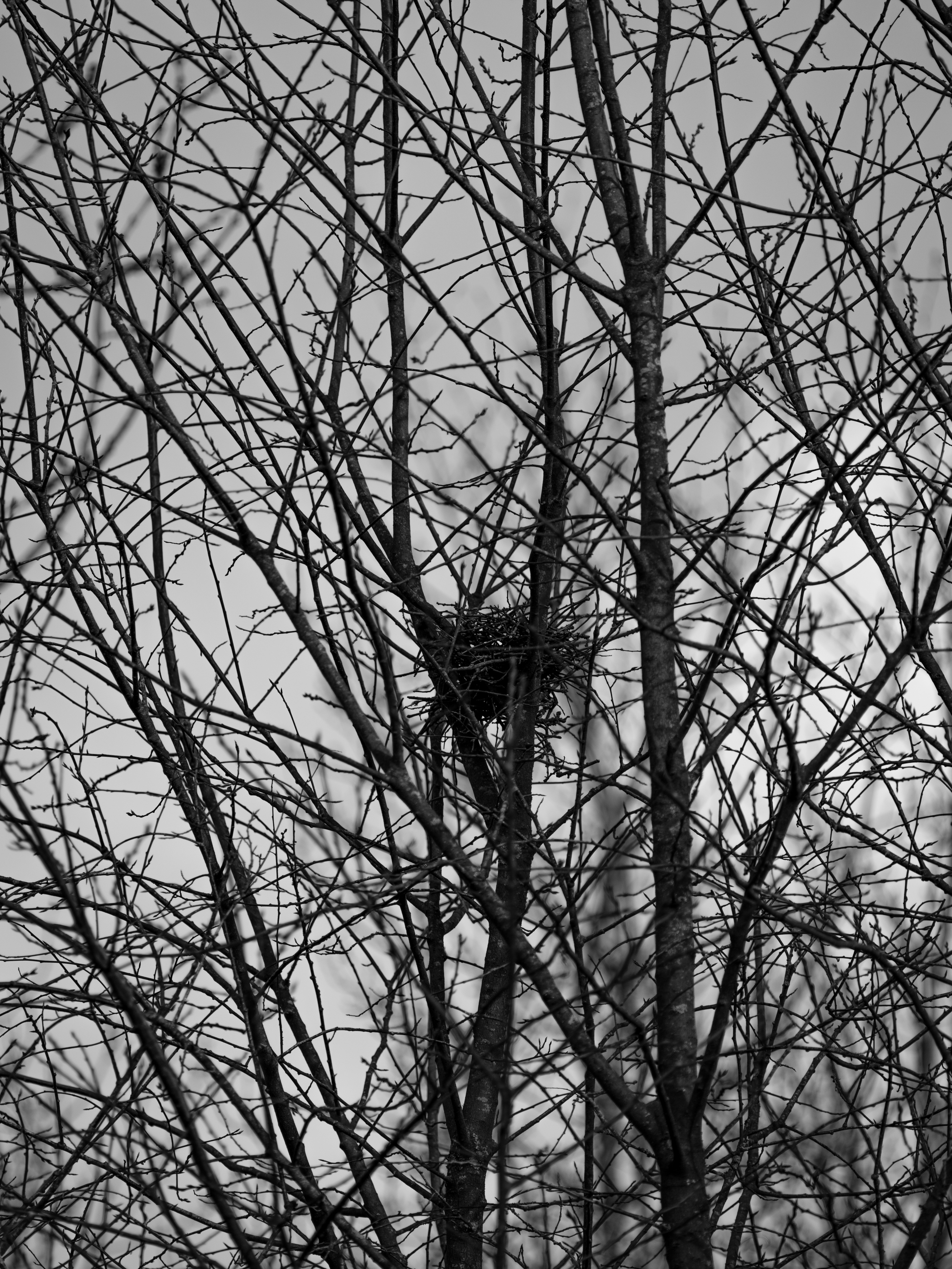 Photo by haberdoedas