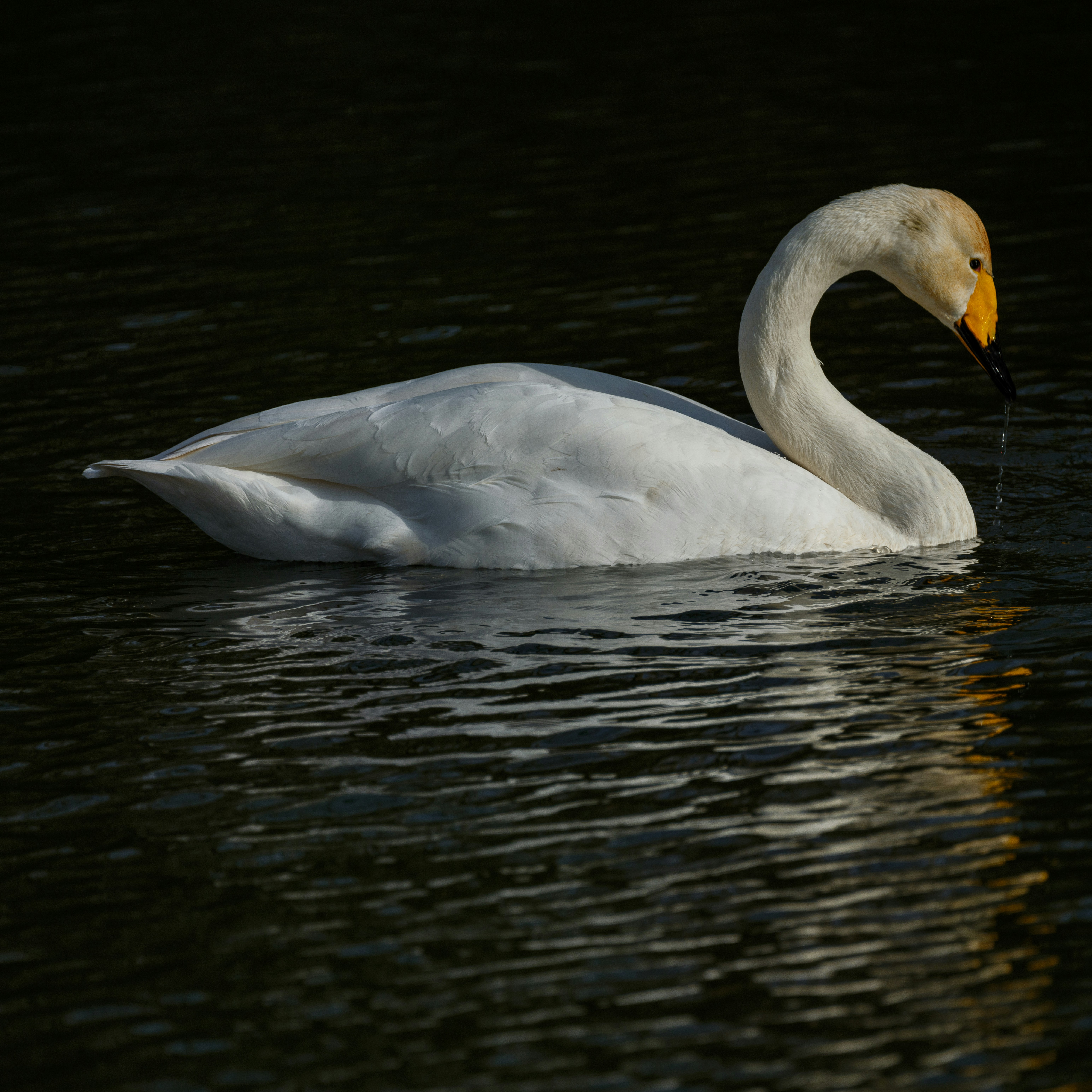 Photo by haberdoedas