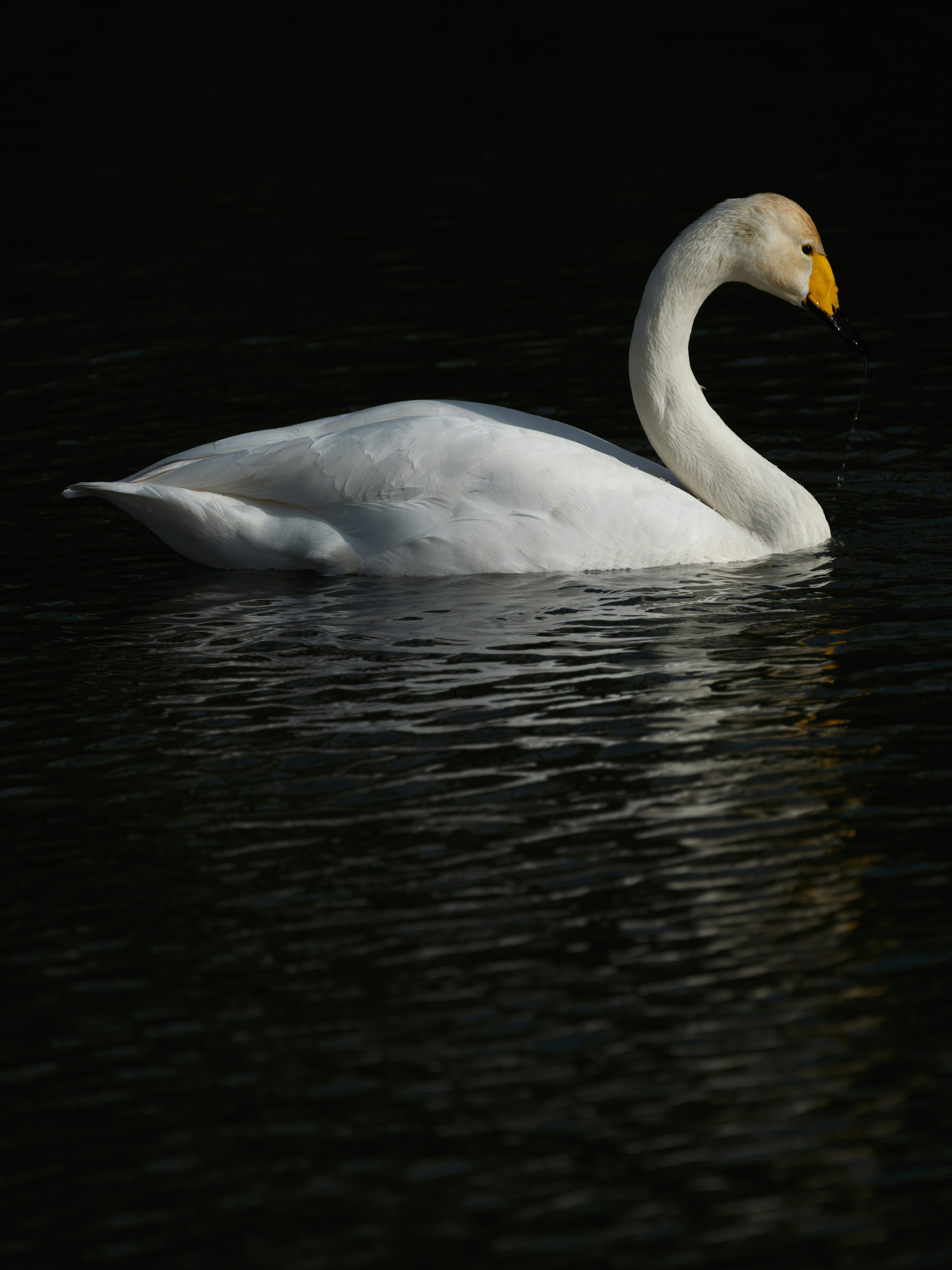 Photo by haberdoedas