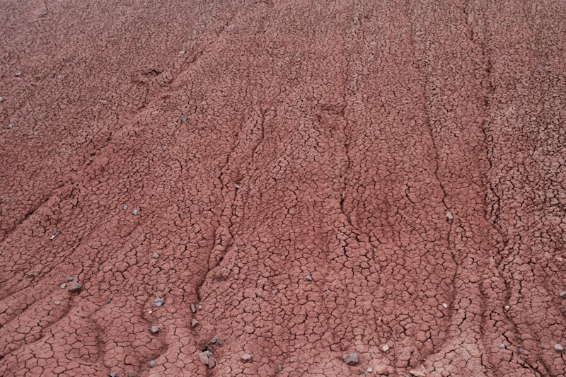赤玉土の割合は培養土6:赤玉土4が正解｜植物別配合も解説
