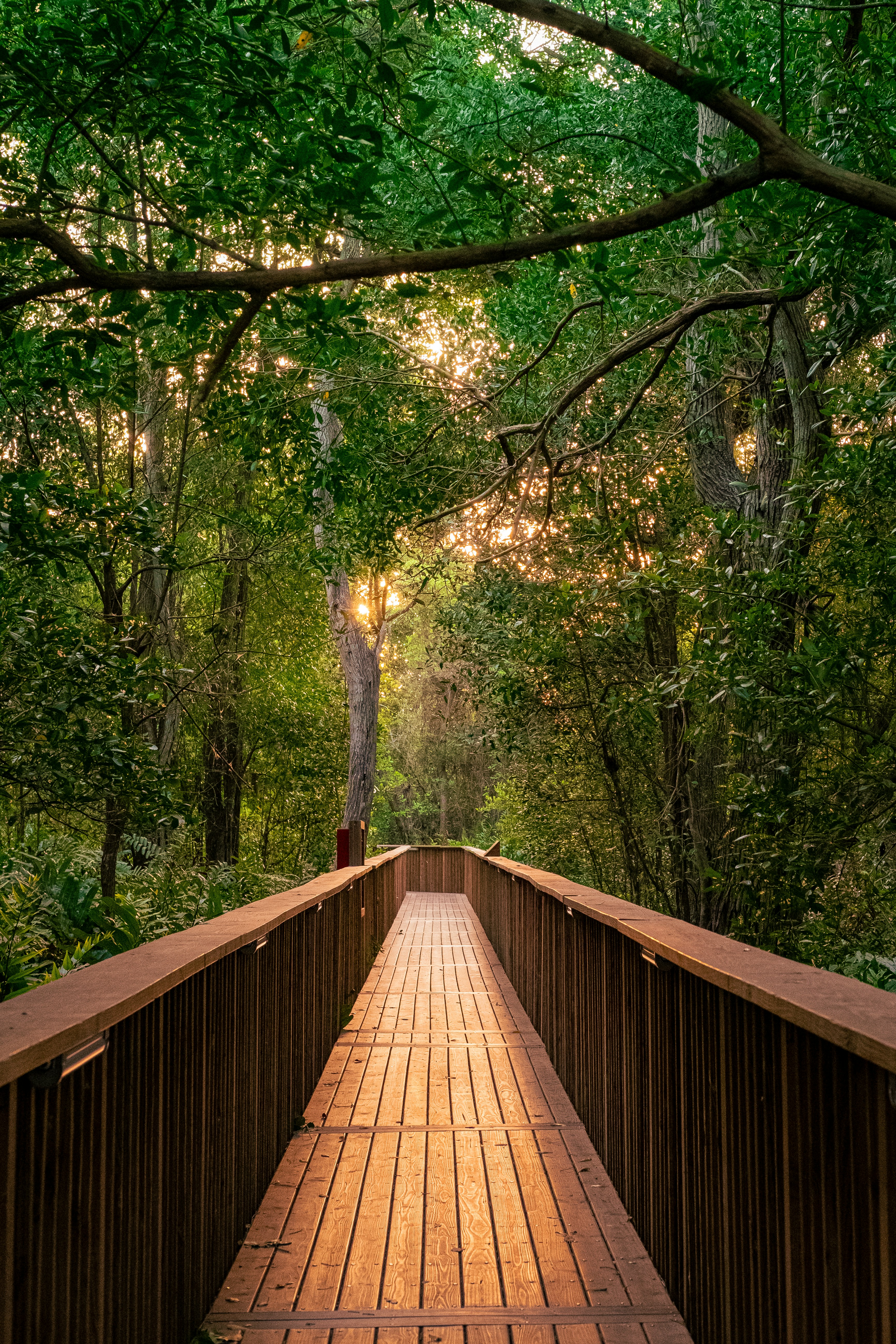 Photo by esmcreativo