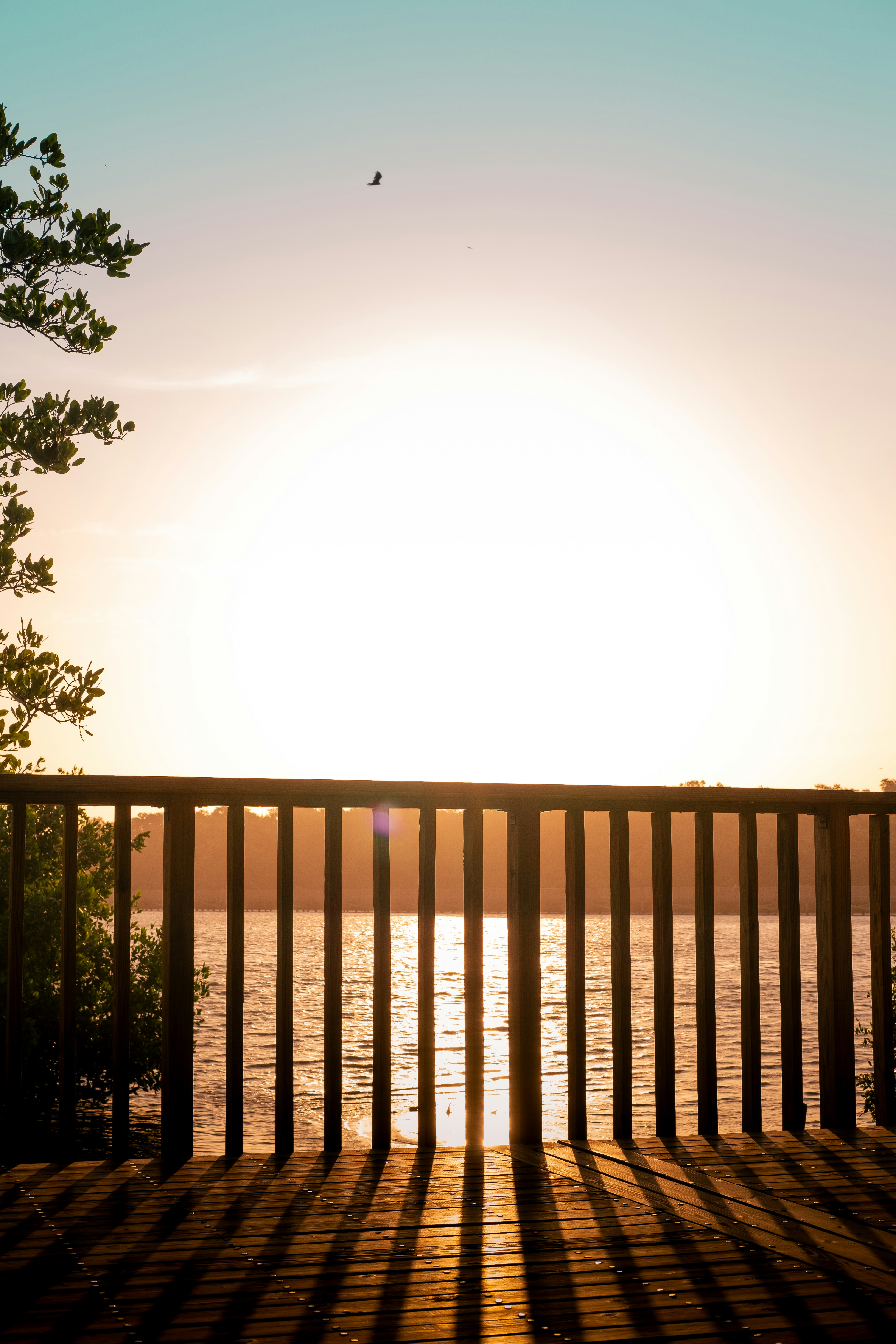 Photo by esmcreativo