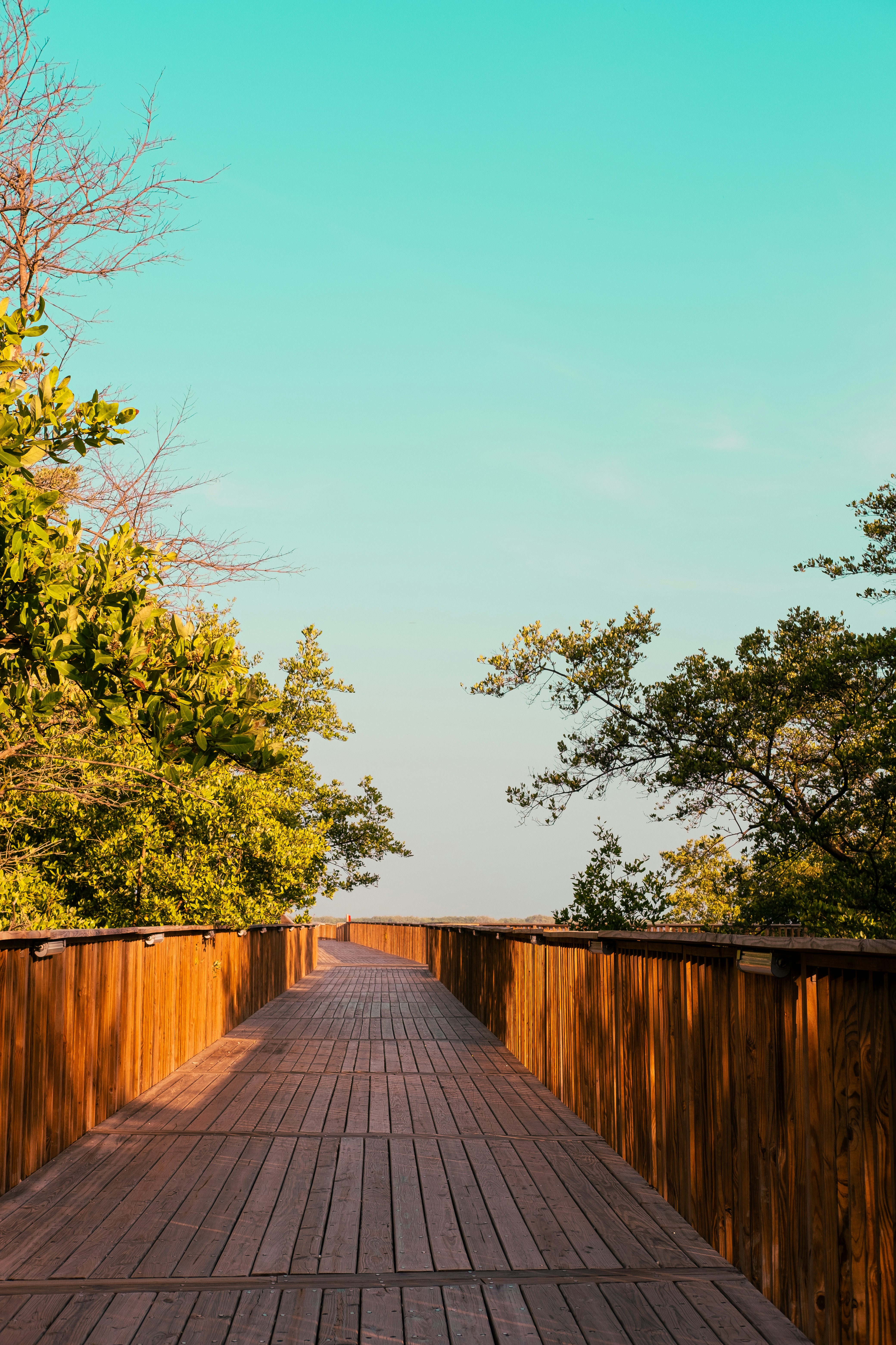 Photo by esmcreativo