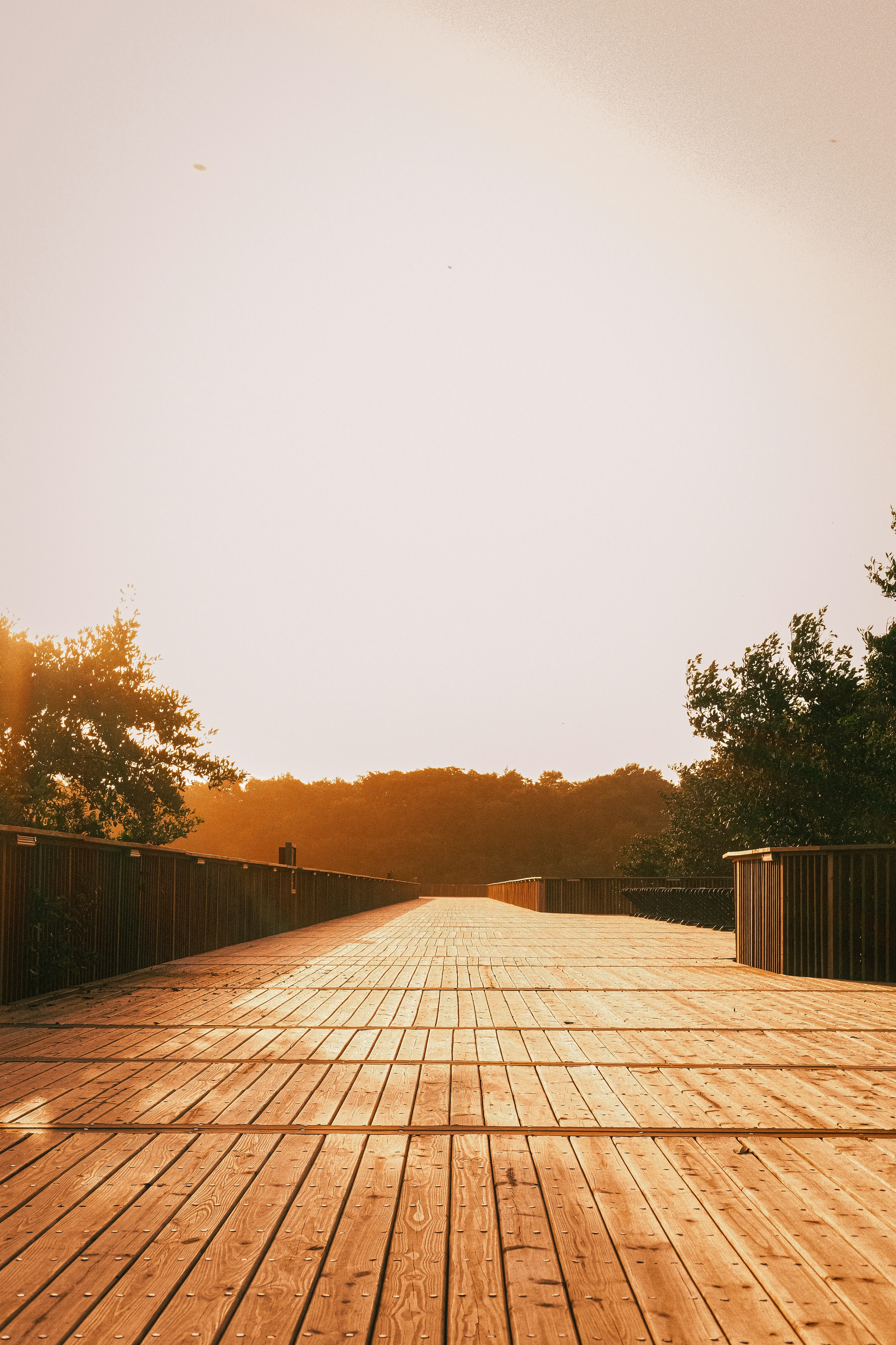 Photo by esmcreativo