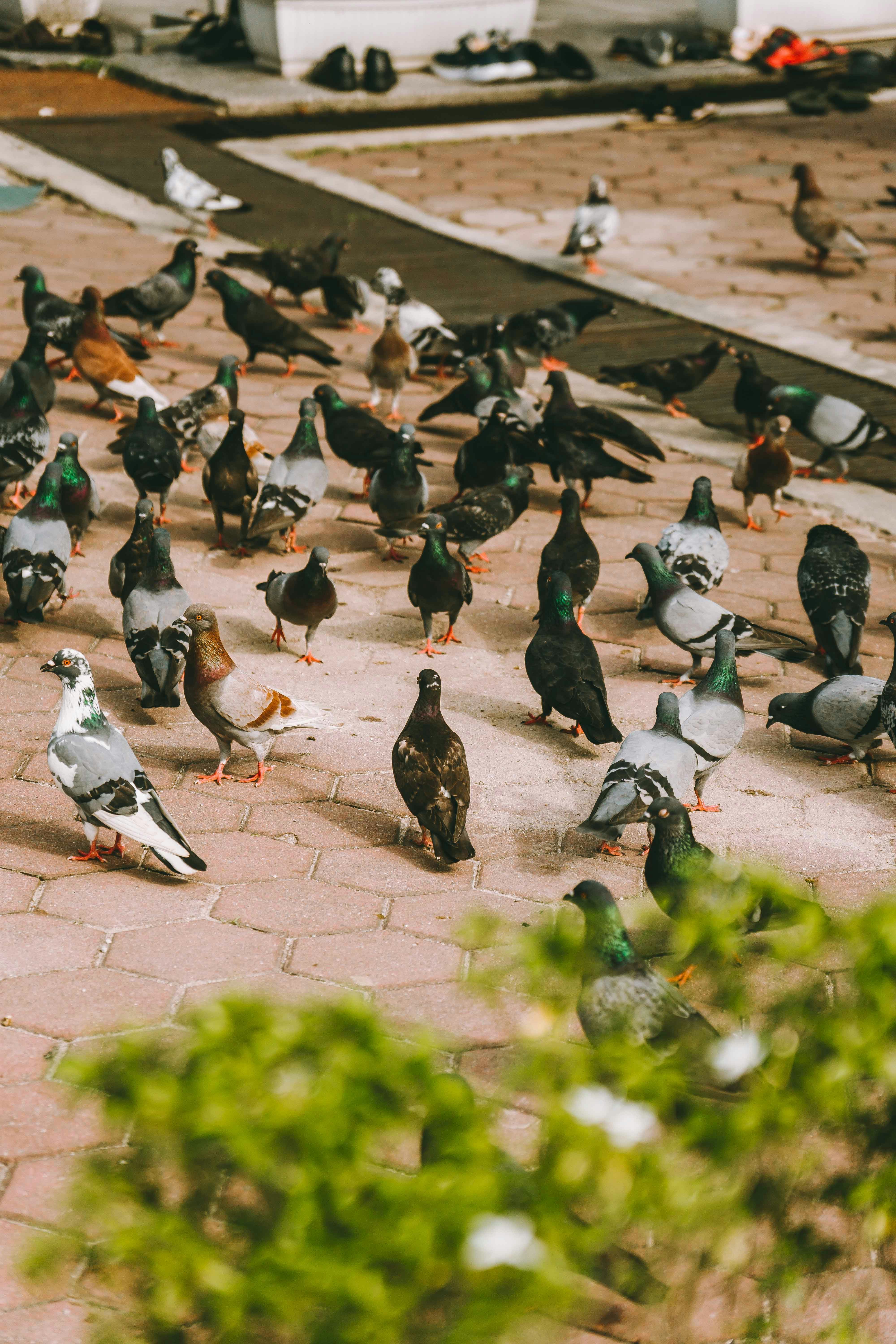 Photo by thejourneyofframes