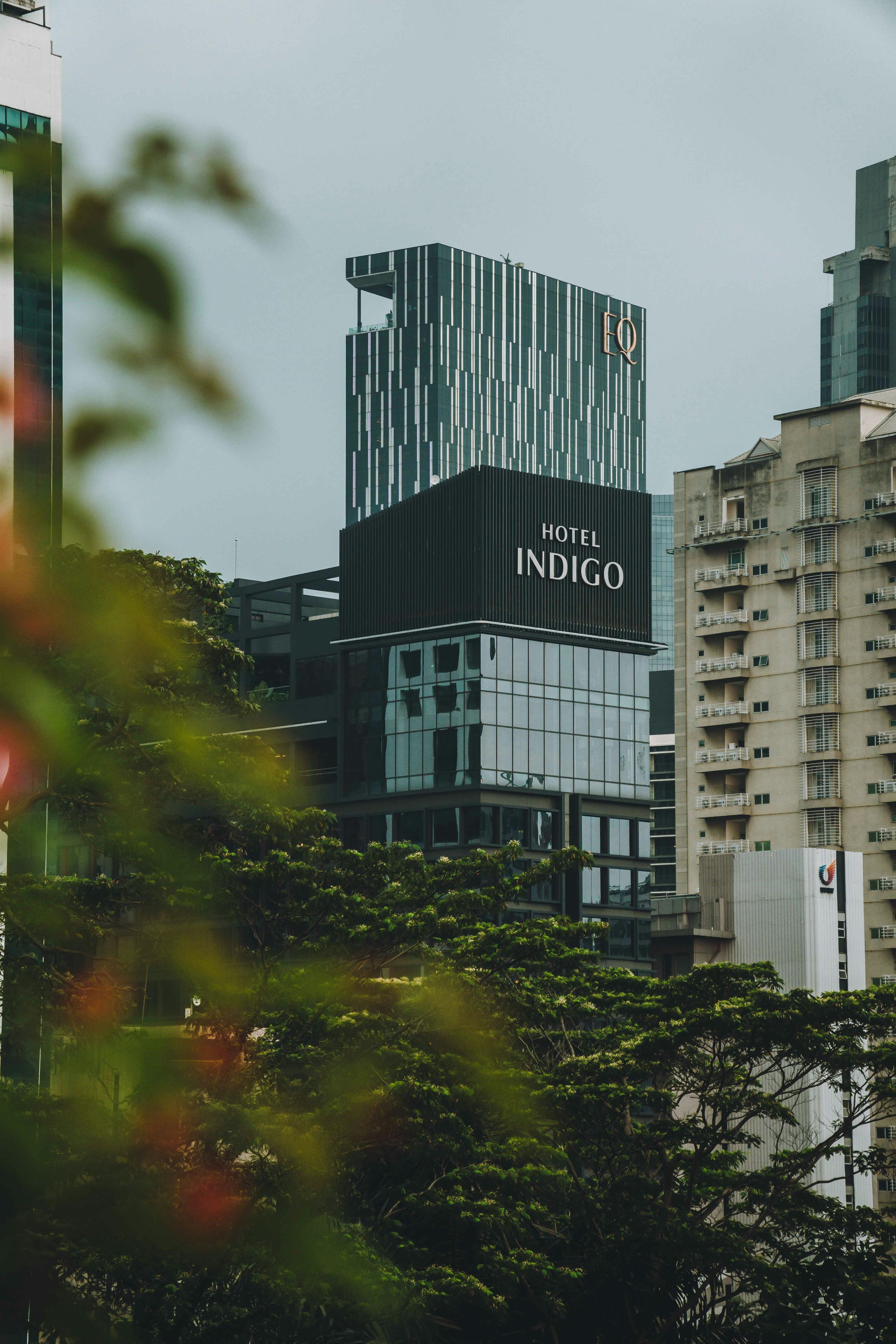 IBN Initiates Coverage of Safe and Green Holdings Corp.